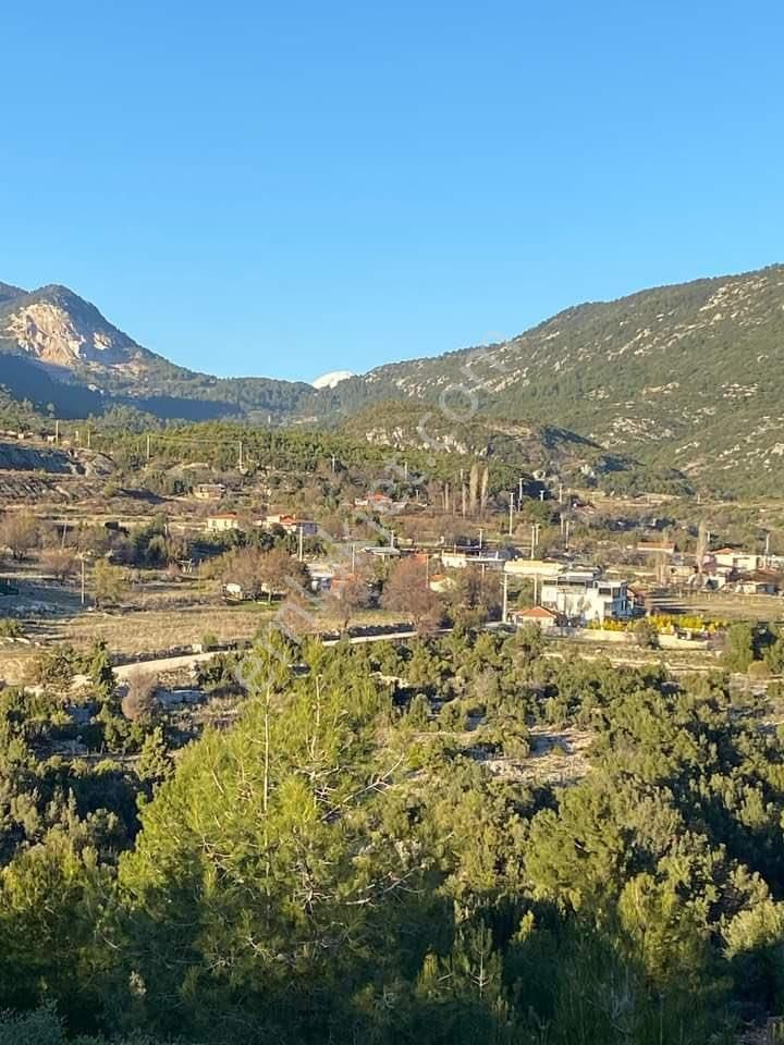 Kaçırılmayacak Fırsat! Orman Yanı 1 Dönüm Tarla – Kaş