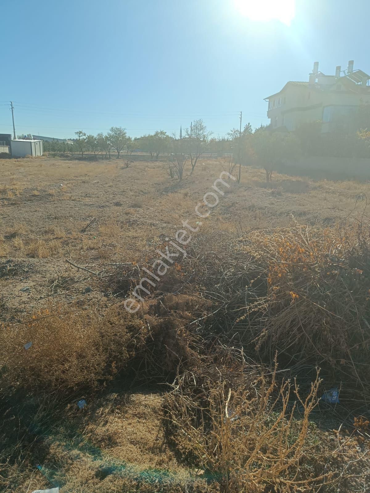 Harmancikta Müstakil Tapulu - Görsel 6