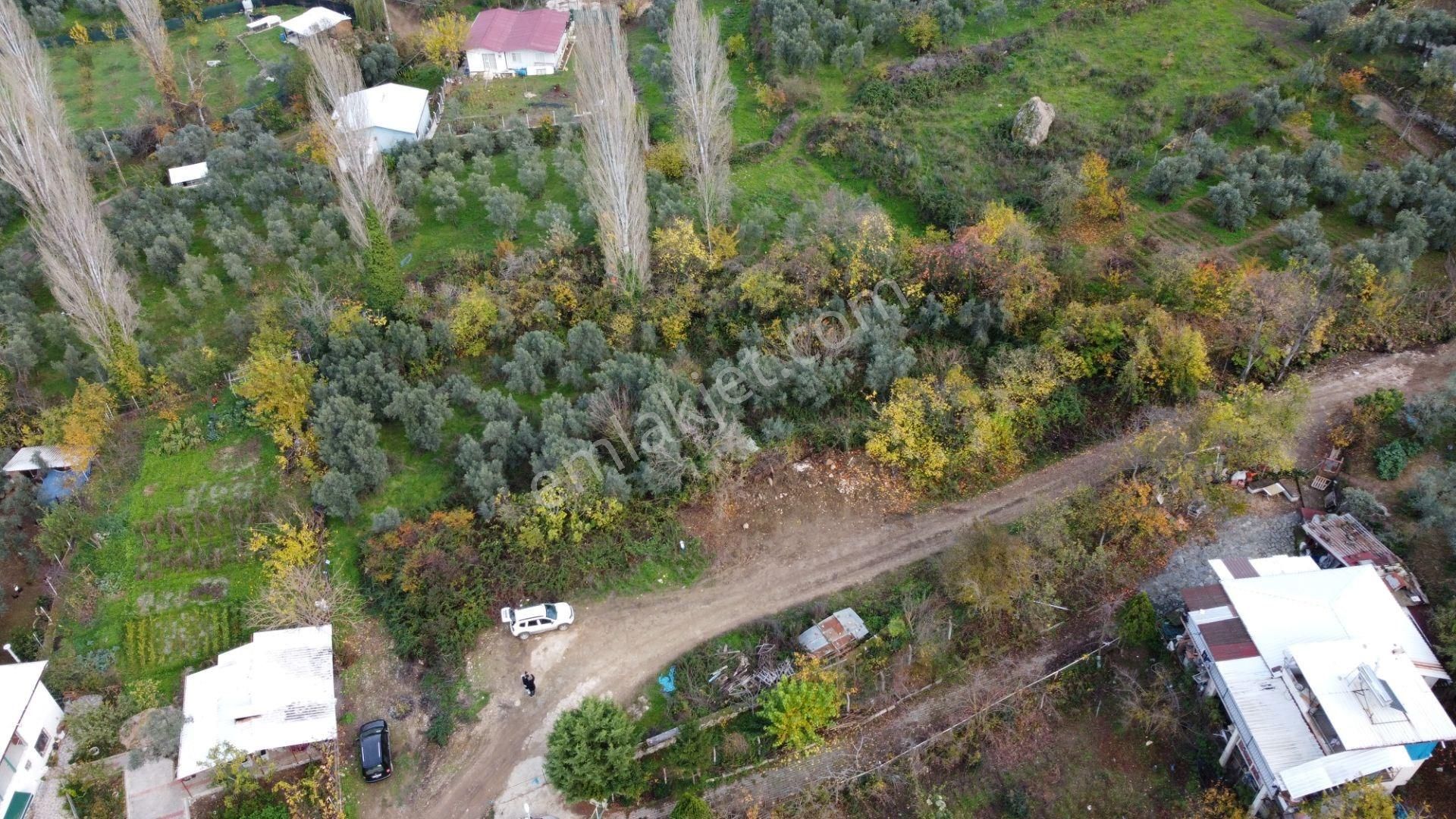 Altın Emlak'tan Yenigürle'de Satılık 1548 M² Zeytinlik Arsa - Görsel 3