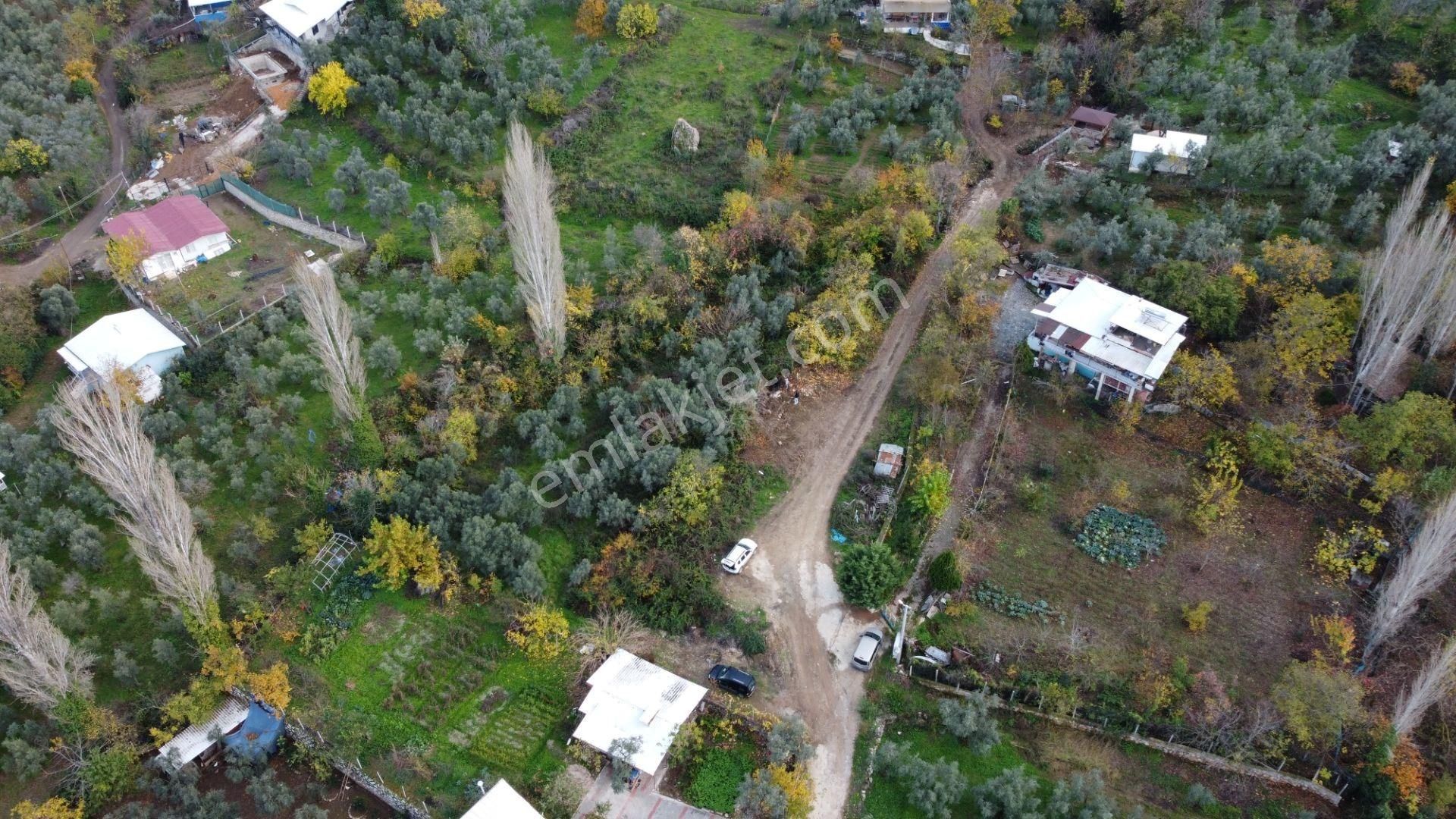 Altın Emlak'tan Yenigürle'de Satılık 1548 M² Zeytinlik Arsa - Görsel 11