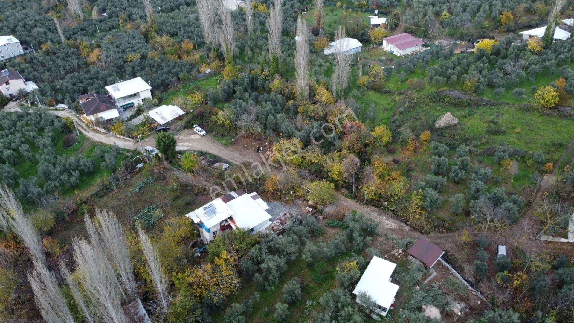 Altın Emlak'tan Yenigürle'de Satılık 1548 M² Zeytinlik Arsa - Görsel 14