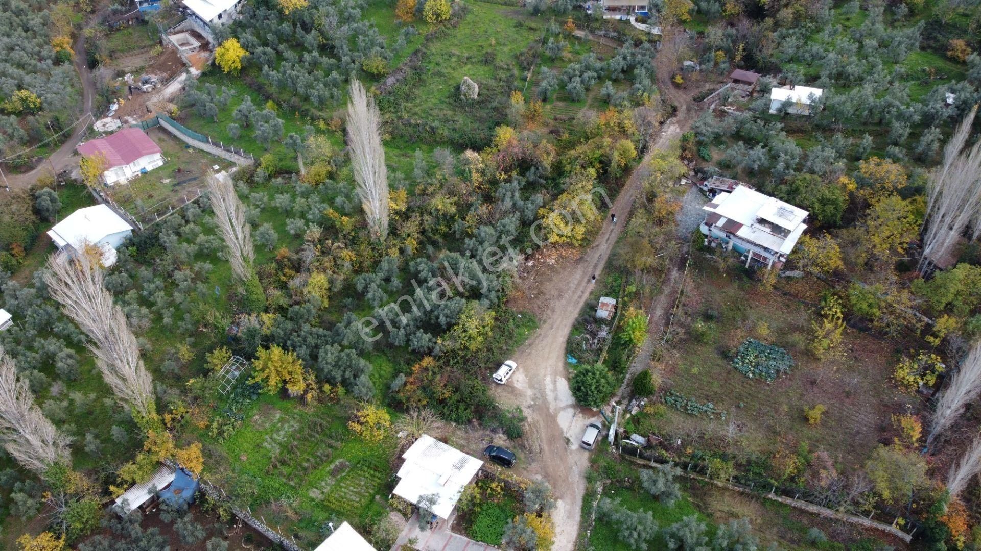 Altın Emlak'tan Yenigürle'de Satılık 1548 M² Zeytinlik Arsa - Görsel 10