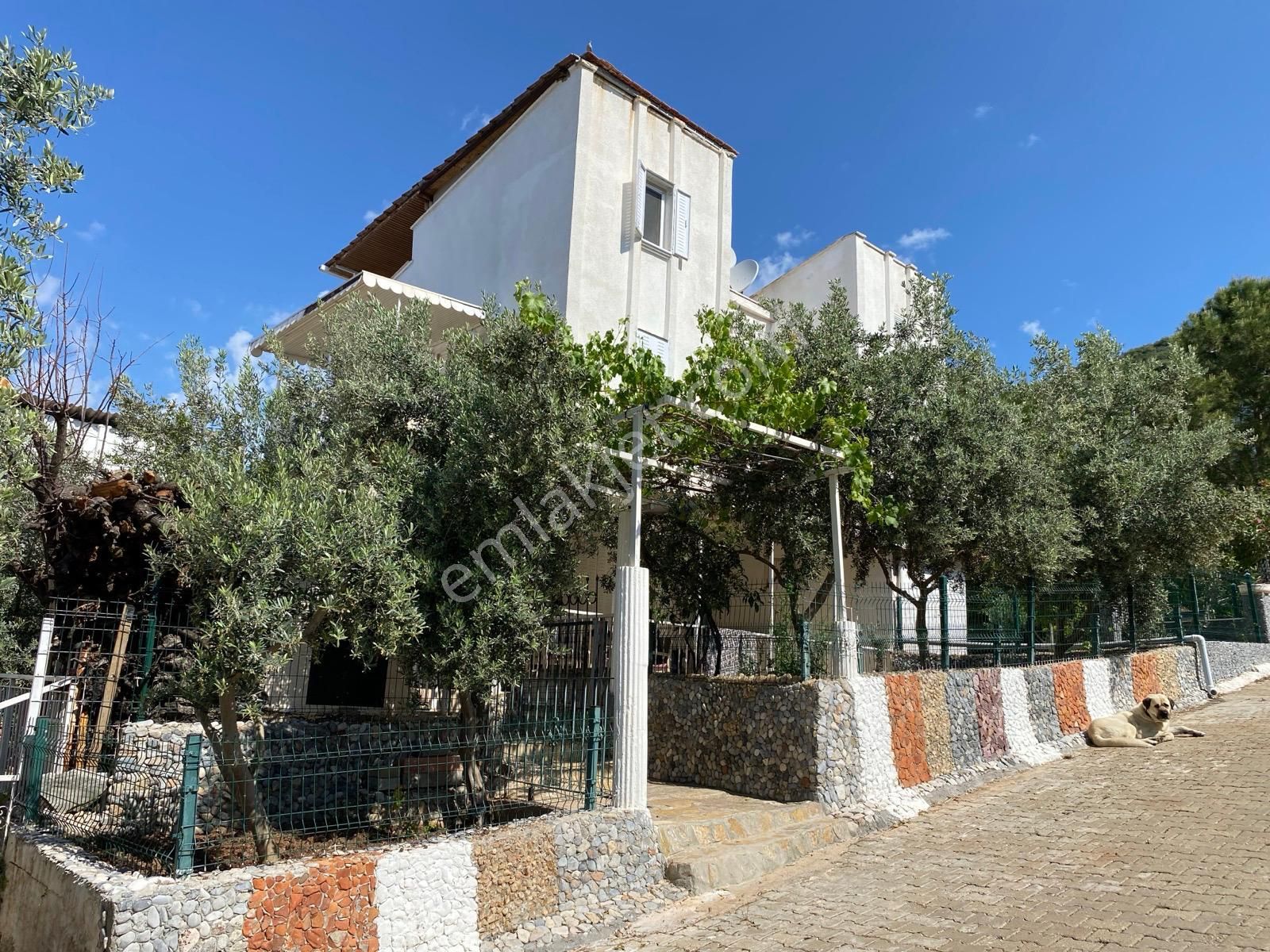 Didim Akbük'te Deniz Manzaralı 3+1 Villa - Görsel 2