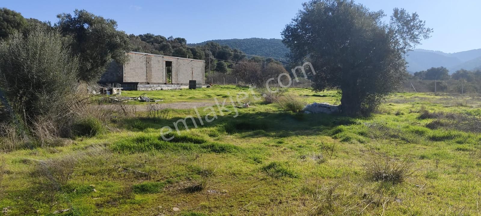 Güzelbahçe Ana Yola Yakın Kiralık 5 Dönüm Tarla - Görsel 13