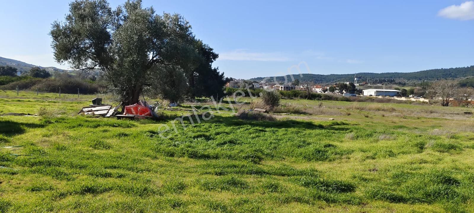 Güzelbahçe Ana Yola Yakın Kiralık 5 Dönüm Tarla - Görsel 29