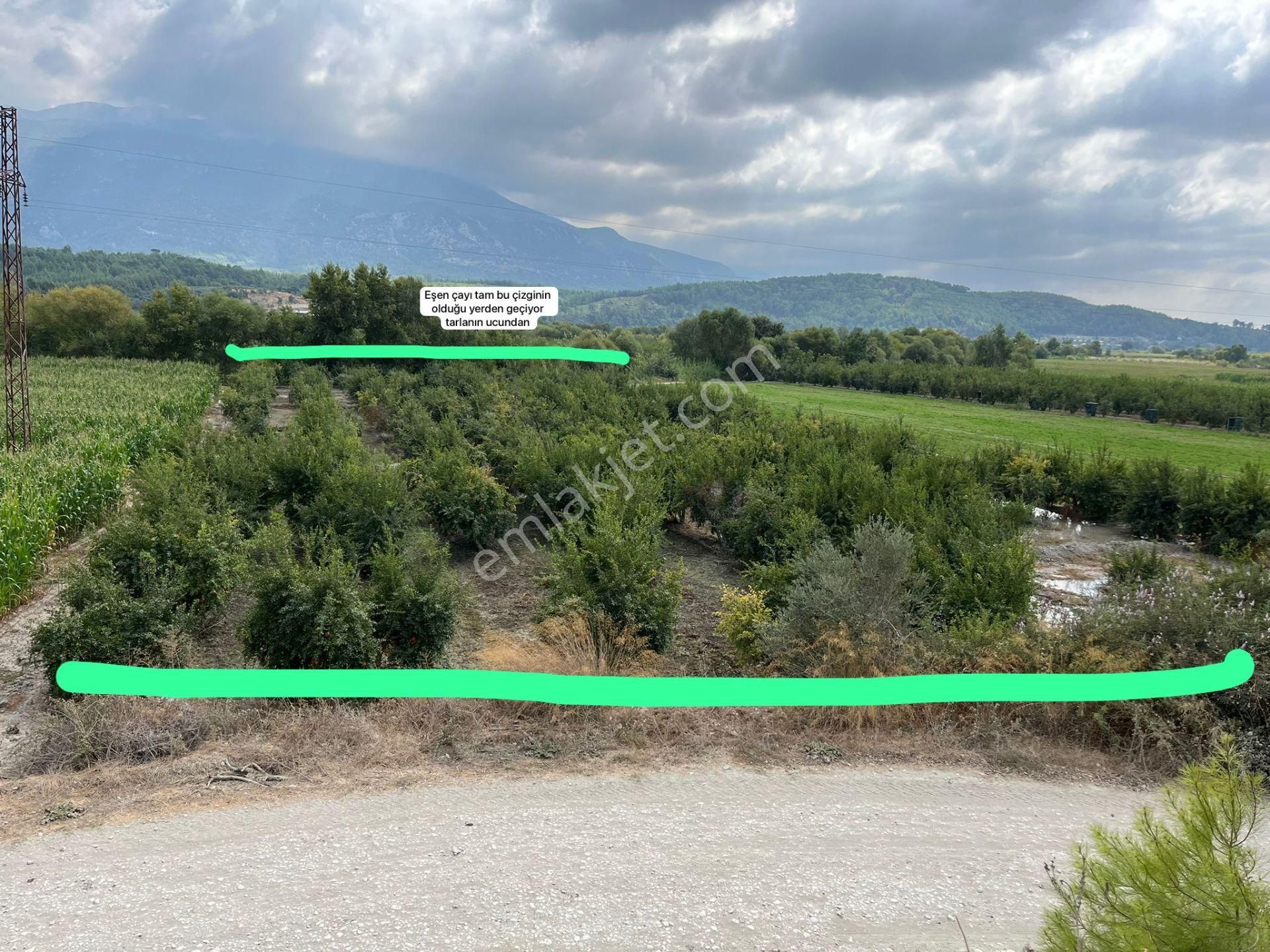 Goldhouse Dan Satılık Seydikemer Demirlerde Nar Bahçesi - Görsel 4