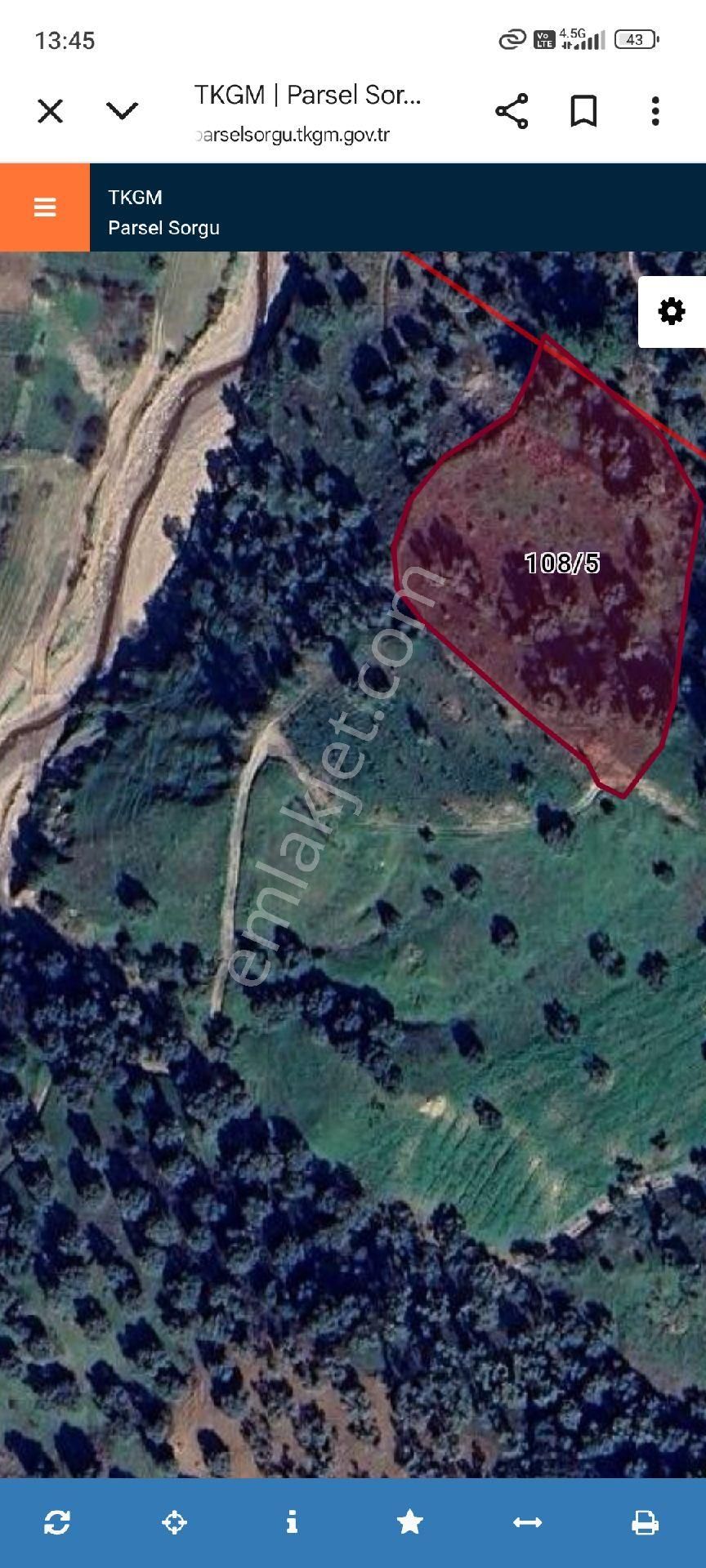 5752 M2 Satılık Zeytinlik
