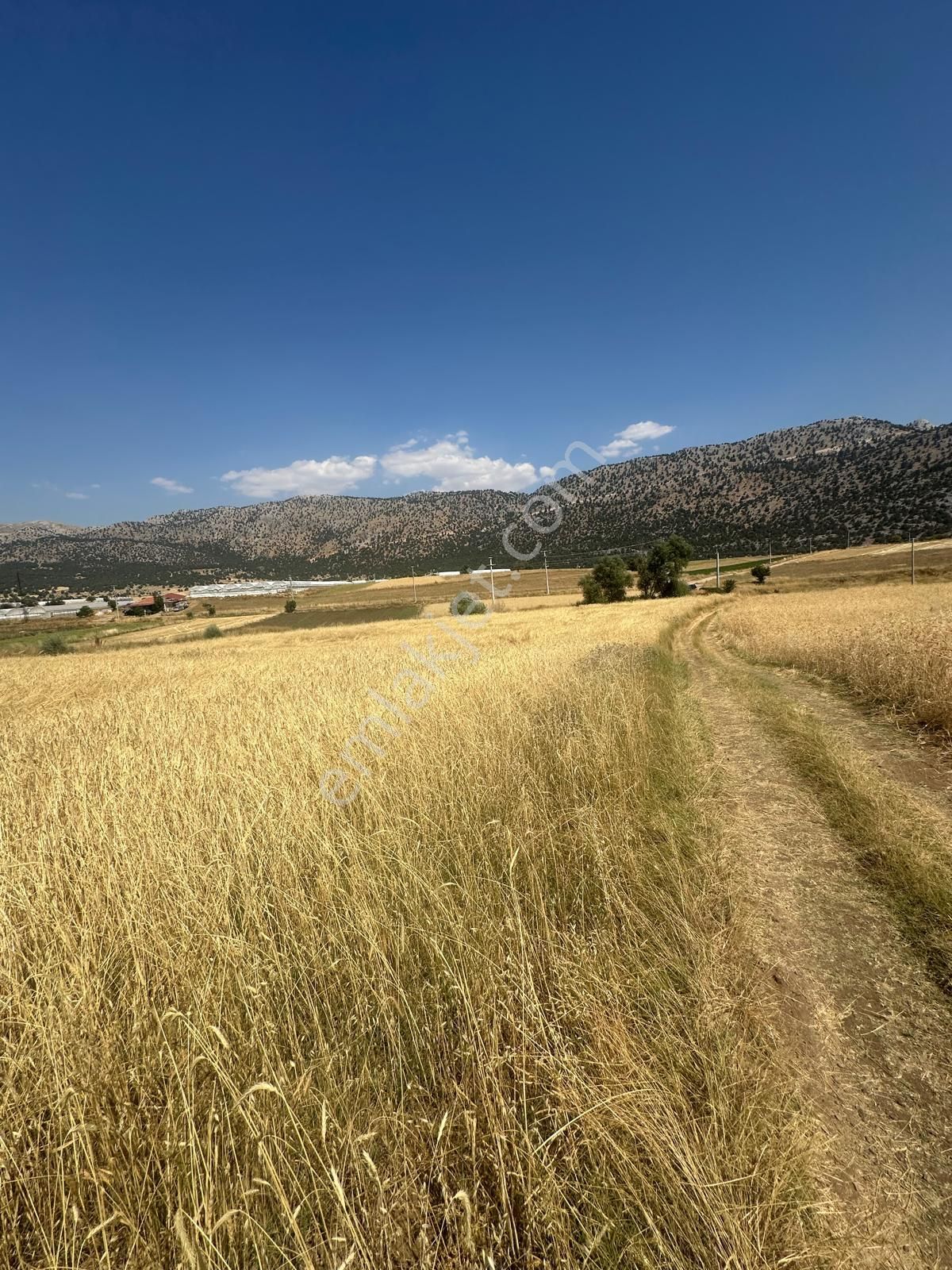 Seydikemer Kayabaşta Yola Cepheli 8.290 M² Satılık Tarla - Görsel 7