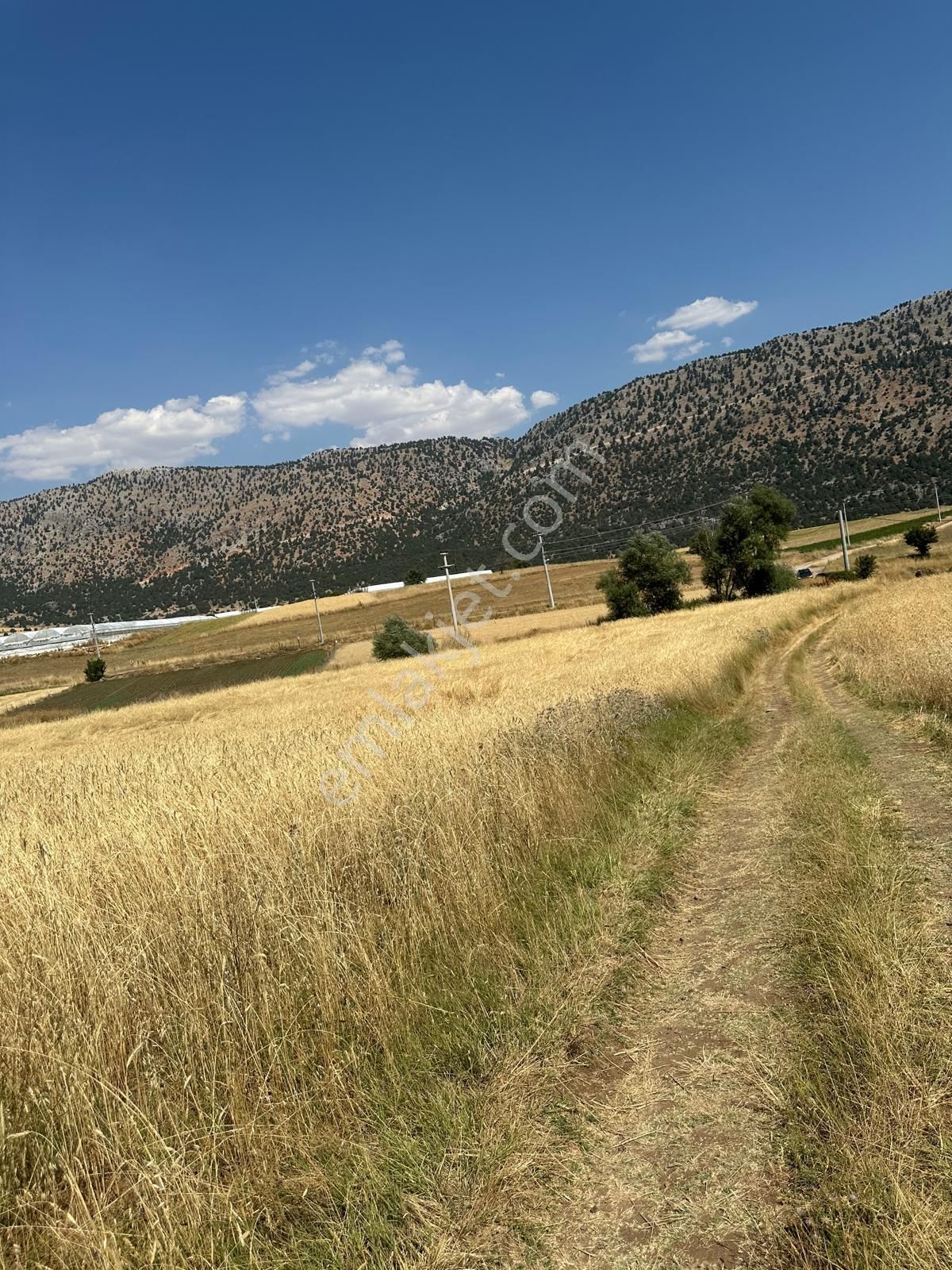 Seydikemer Kayabaşta Yola Cepheli 8.290 M² Satılık Tarla - Görsel 9