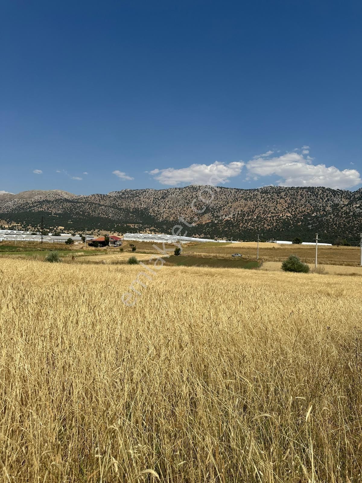 Seydikemer Kayabaşta Yola Cepheli 8.290 M² Satılık Tarla - Görsel 12