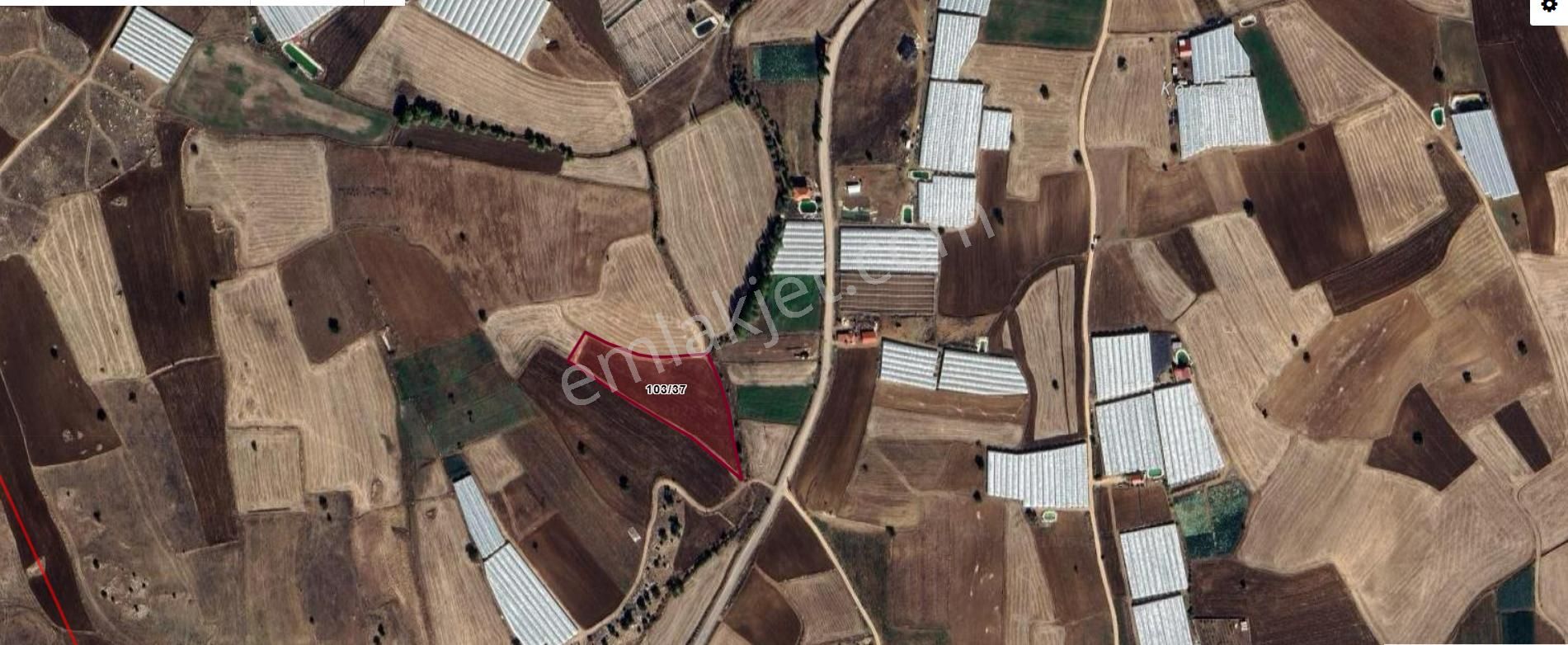 Seydikemer Kayabaşta Yola Cepheli 8.290 M² Satılık Tarla - Görsel 6