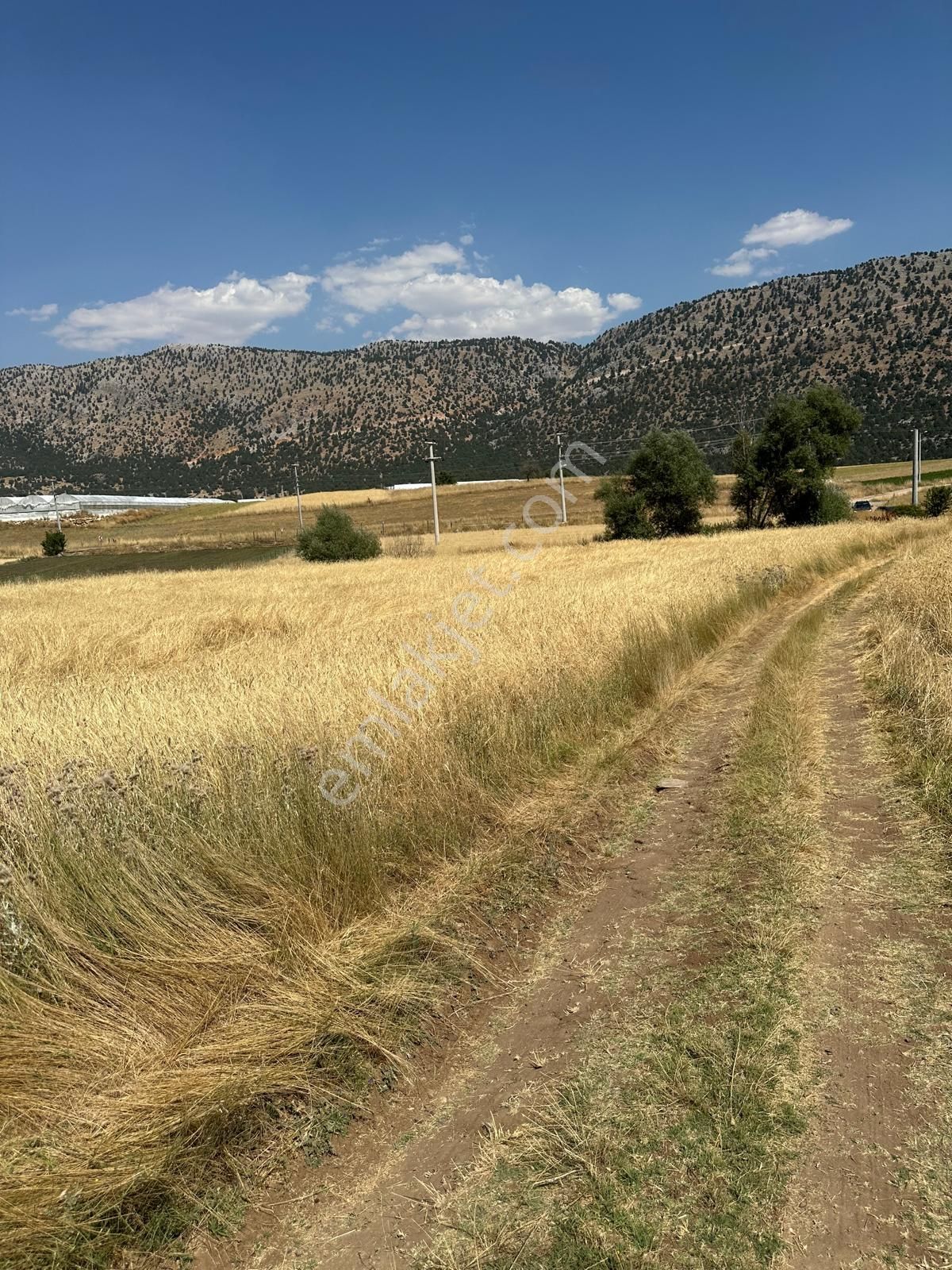 Seydikemer Kayabaşta Yola Cepheli 8.290 M² Satılık Tarla - Görsel 16