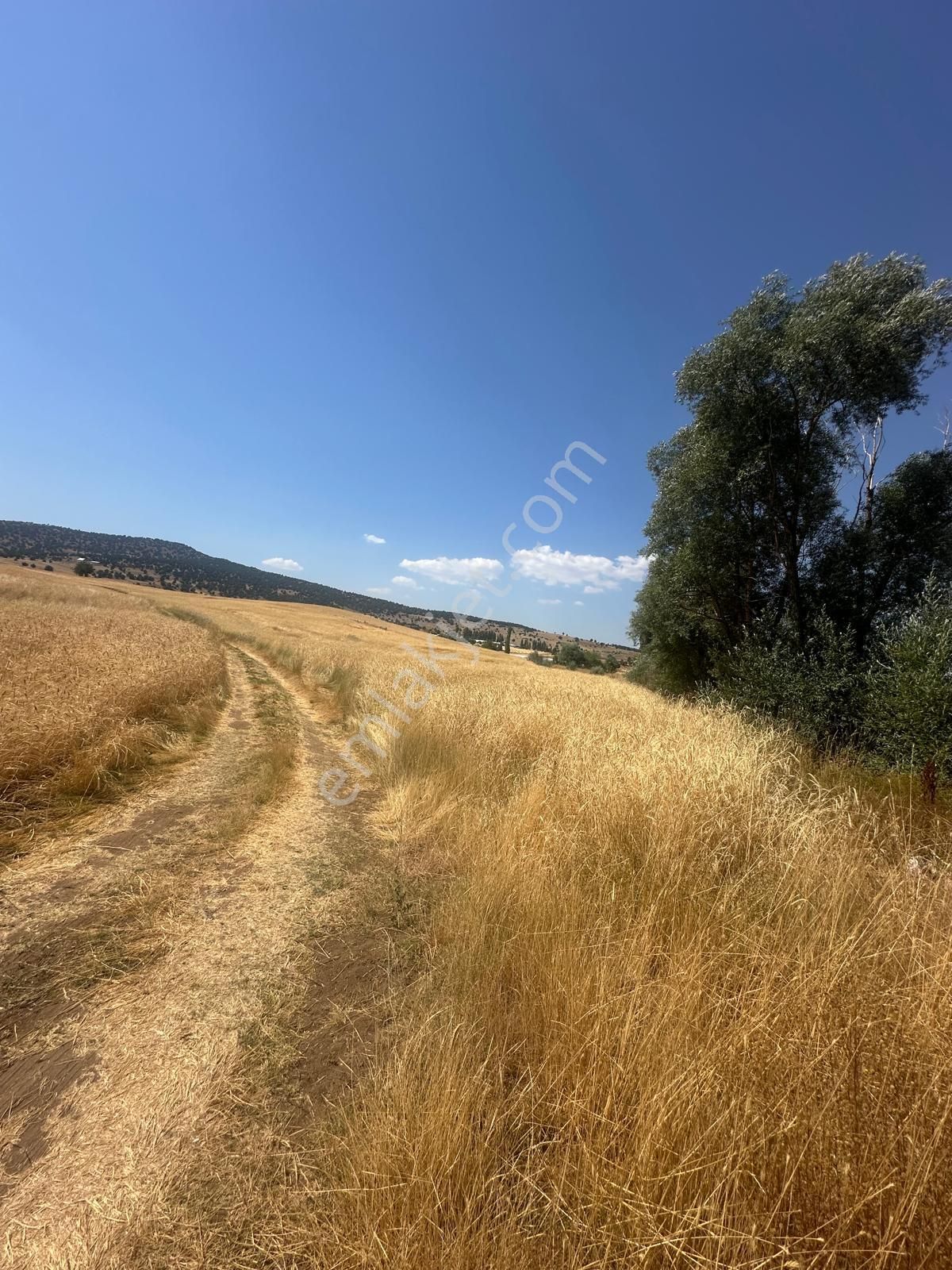 Seydikemer Kayabaşta Yola Cepheli 8.290 M² Satılık Tarla - Görsel 10