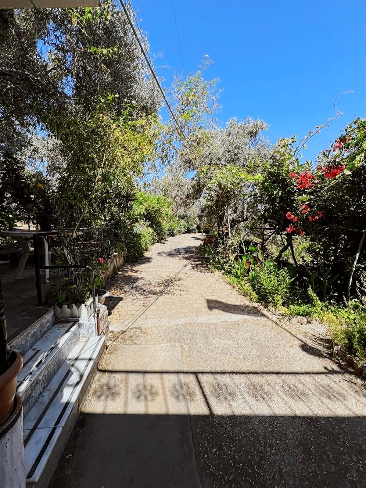 Akyörük Gayrimenkulden Satılık Bahariyede Tire Manzaralı Arazi - Görsel 13