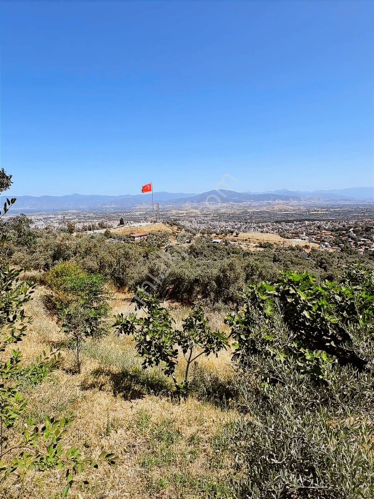 Akyörük Gayrimenkulden Satılık Bahariyede Tire Manzaralı Arazi - Görsel 15