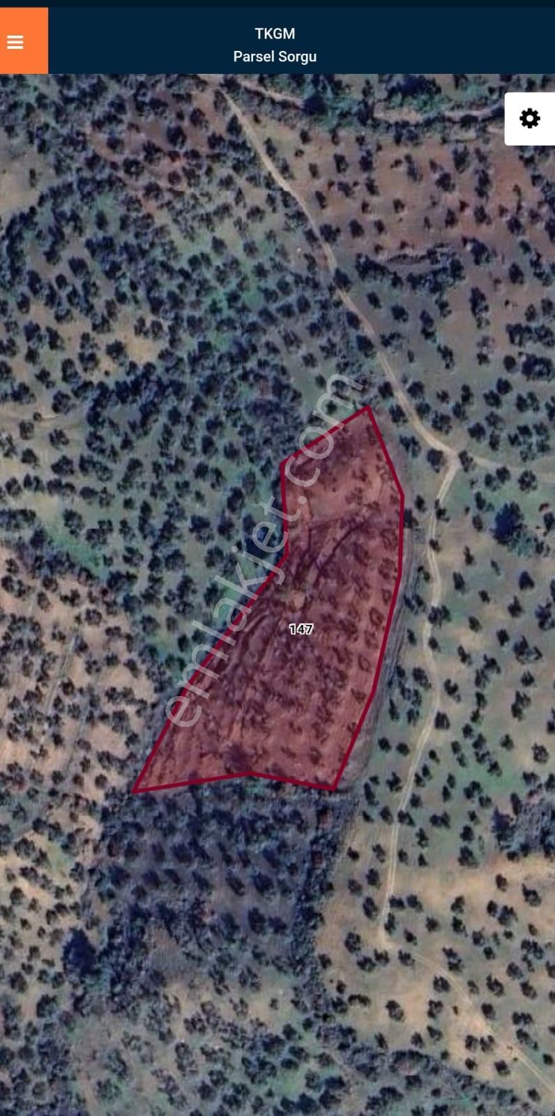 Golden Globy, Havran-çamdibi'nde Acil Satılık 6.250 M2 Fırsat Zeytinlik - Görsel 28