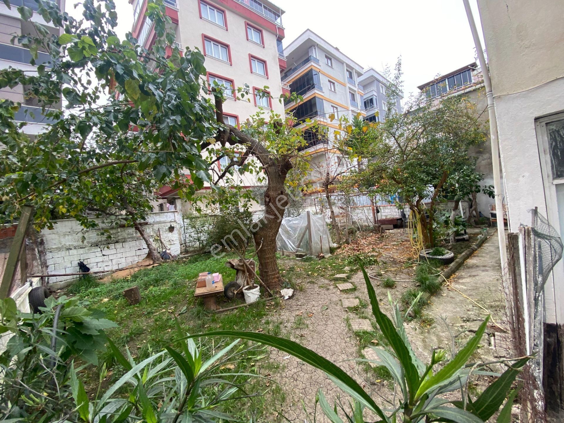 Truva'dan Atakum Esenevler'de Arsalı Komple Satılık Bina - Görsel 5