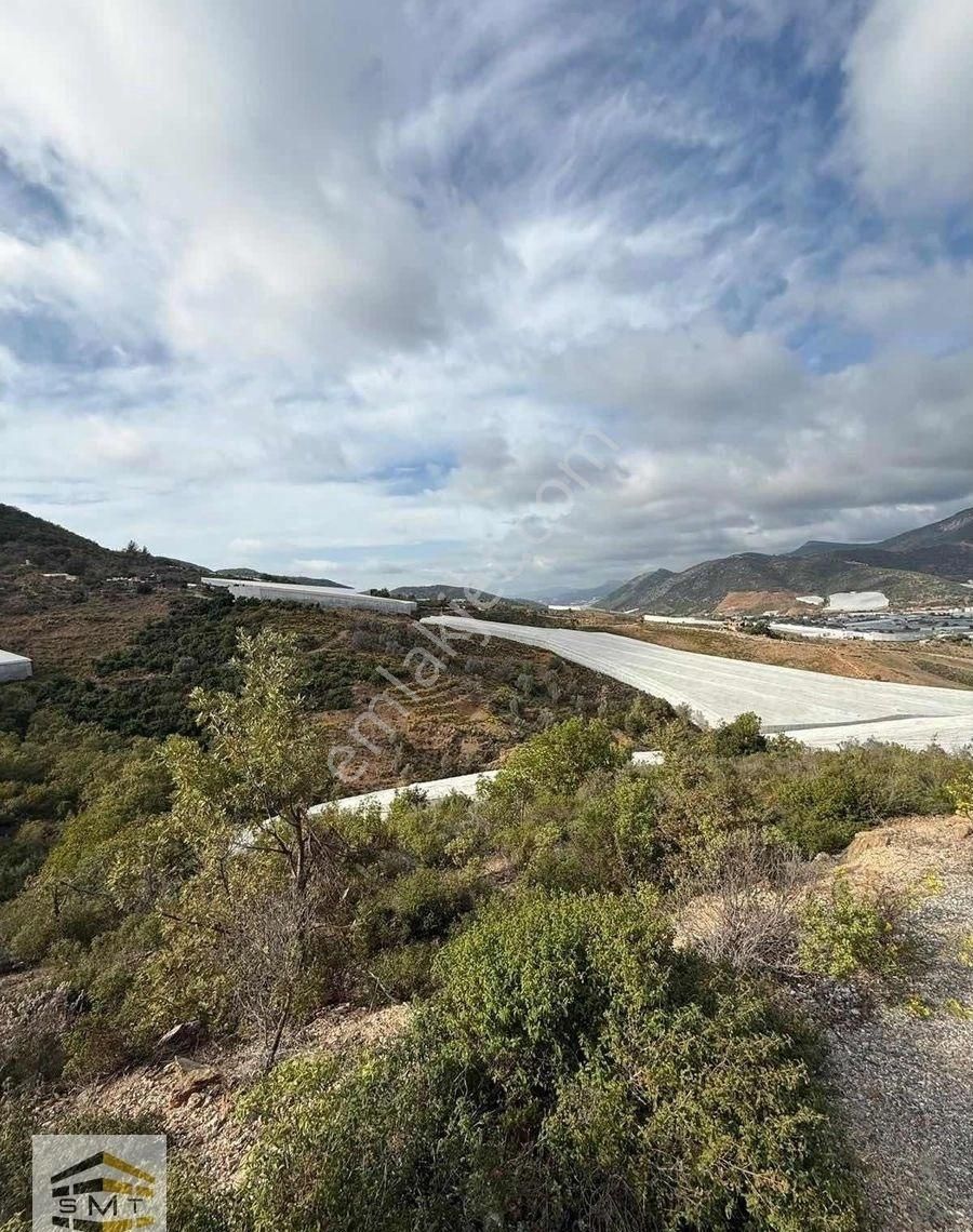 Gazipaşa Muzkent Satılık 8468 M2 Yatırıma Uygun - Görsel 4