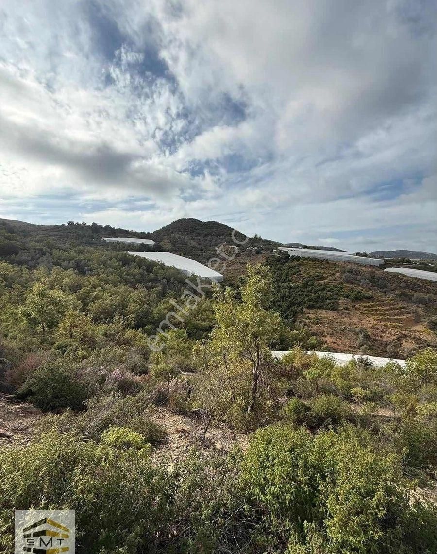 Gazipaşa Muzkent Satılık 8468 M2 Yatırıma Uygun - Görsel 2