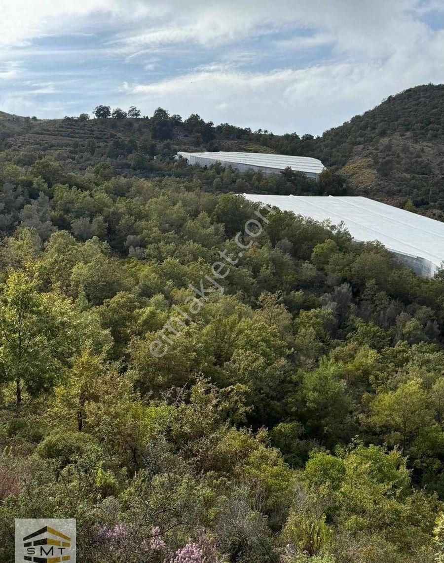 Gazipaşa Muzkent Satılık 8468 M2 Yatırıma Uygun - Görsel 3