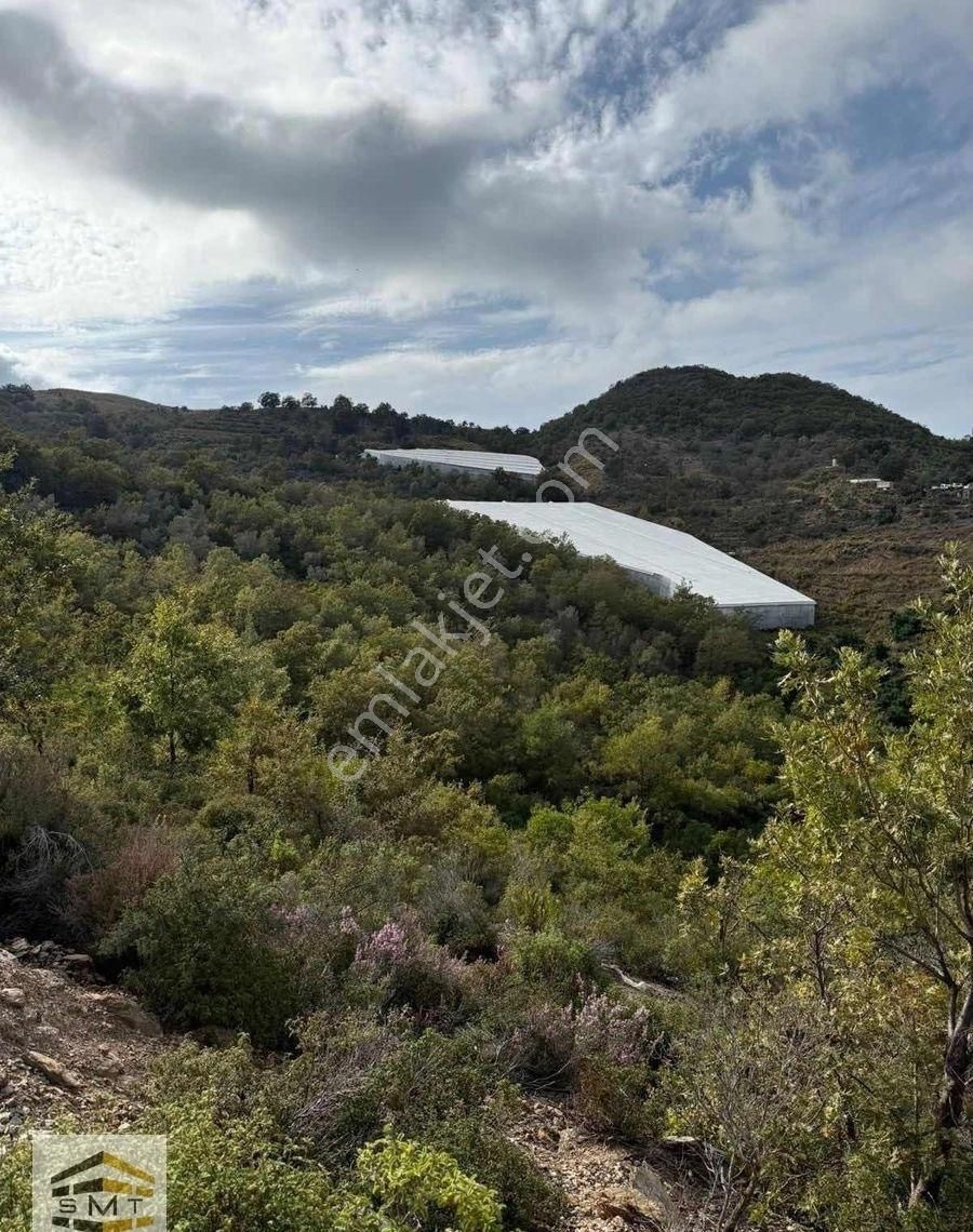 Gazipaşa Muzkent Satılık 8468 M2 Yatırıma Uygun