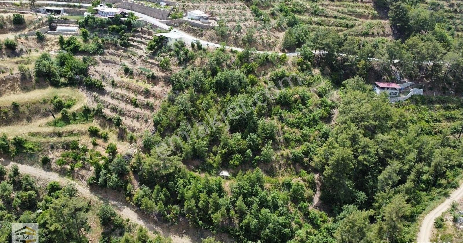 Alanya Çamlıca Mahallesi Satılık Yola Sıfır Tarla