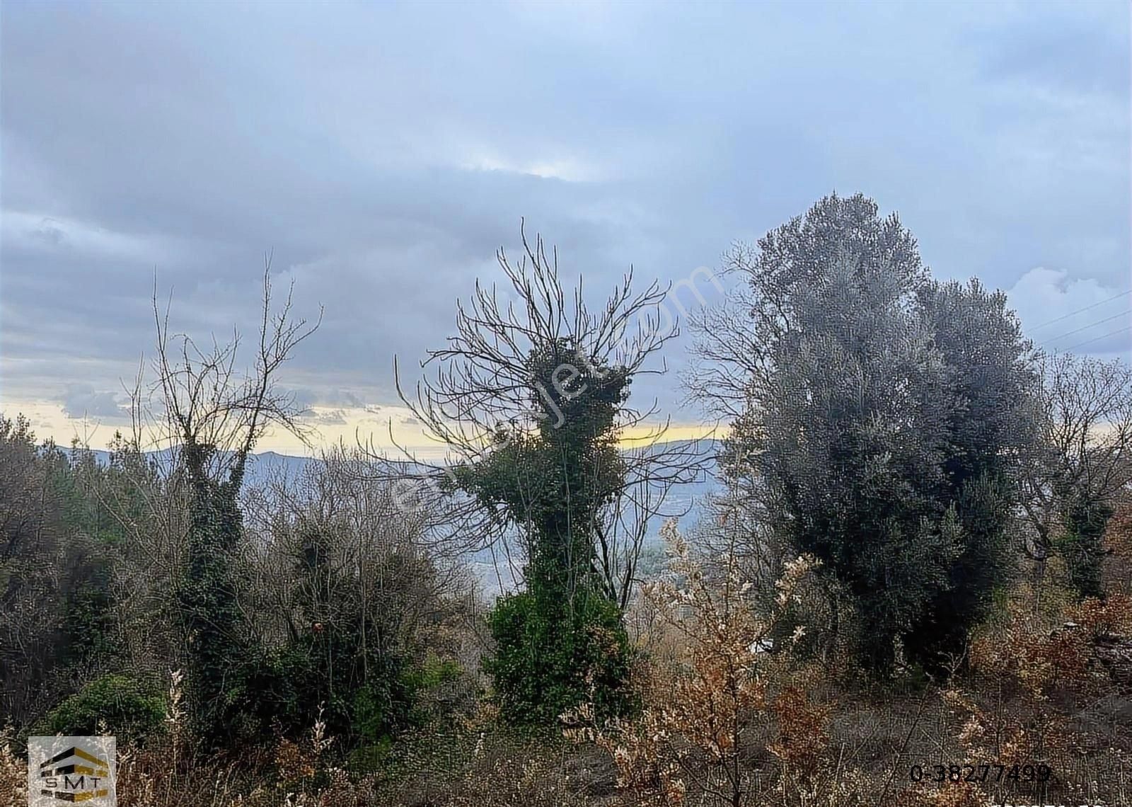 Alanya Yayla Konak Mahallesi Satılık Tarla - Görsel 3