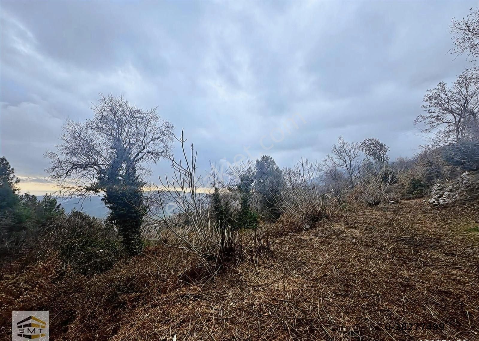 Alanya Yayla Konak Mahallesi Satılık Tarla - Görsel 9