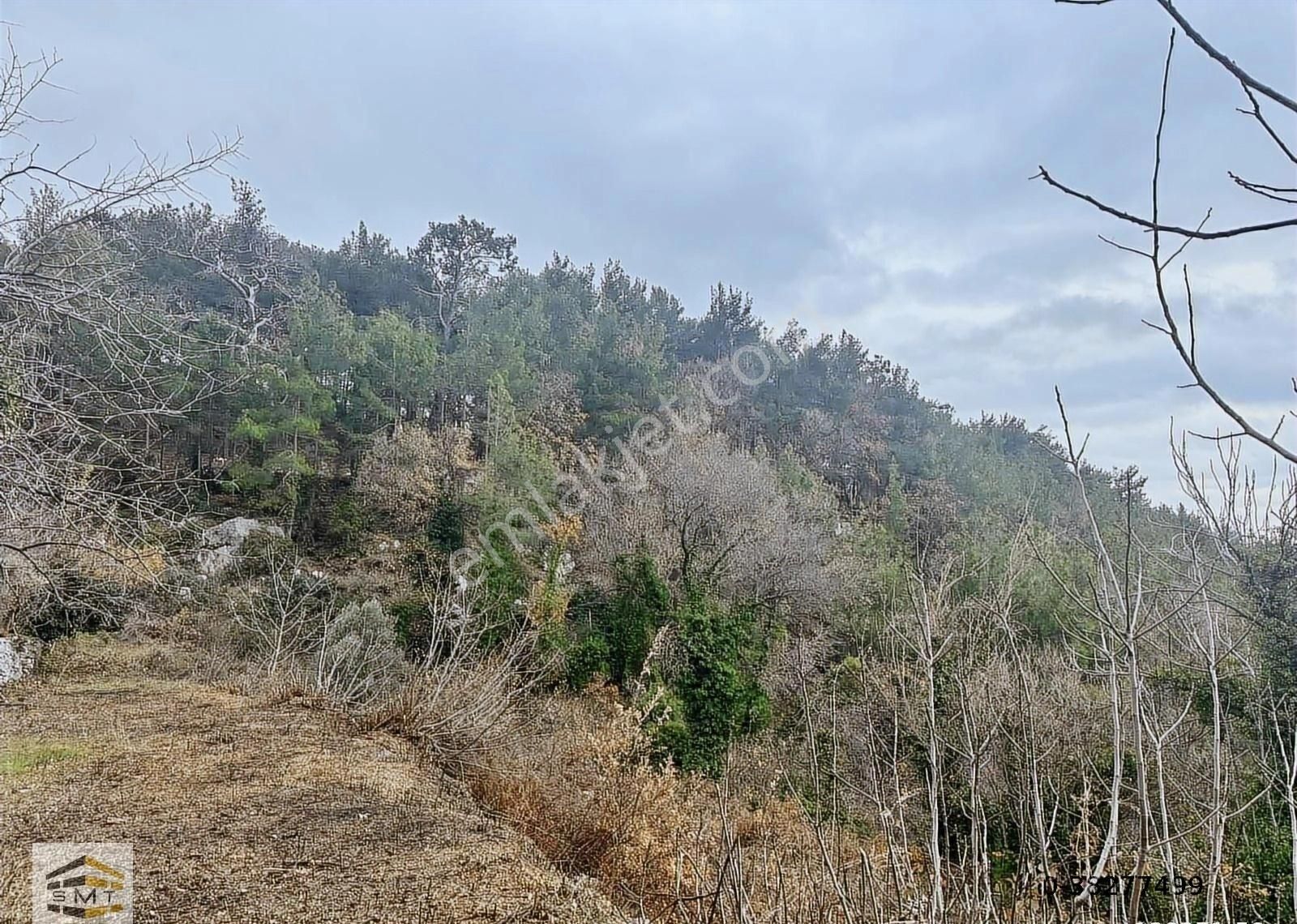 Alanya Yayla Konak Mahallesi Satılık Tarla - Görsel 7
