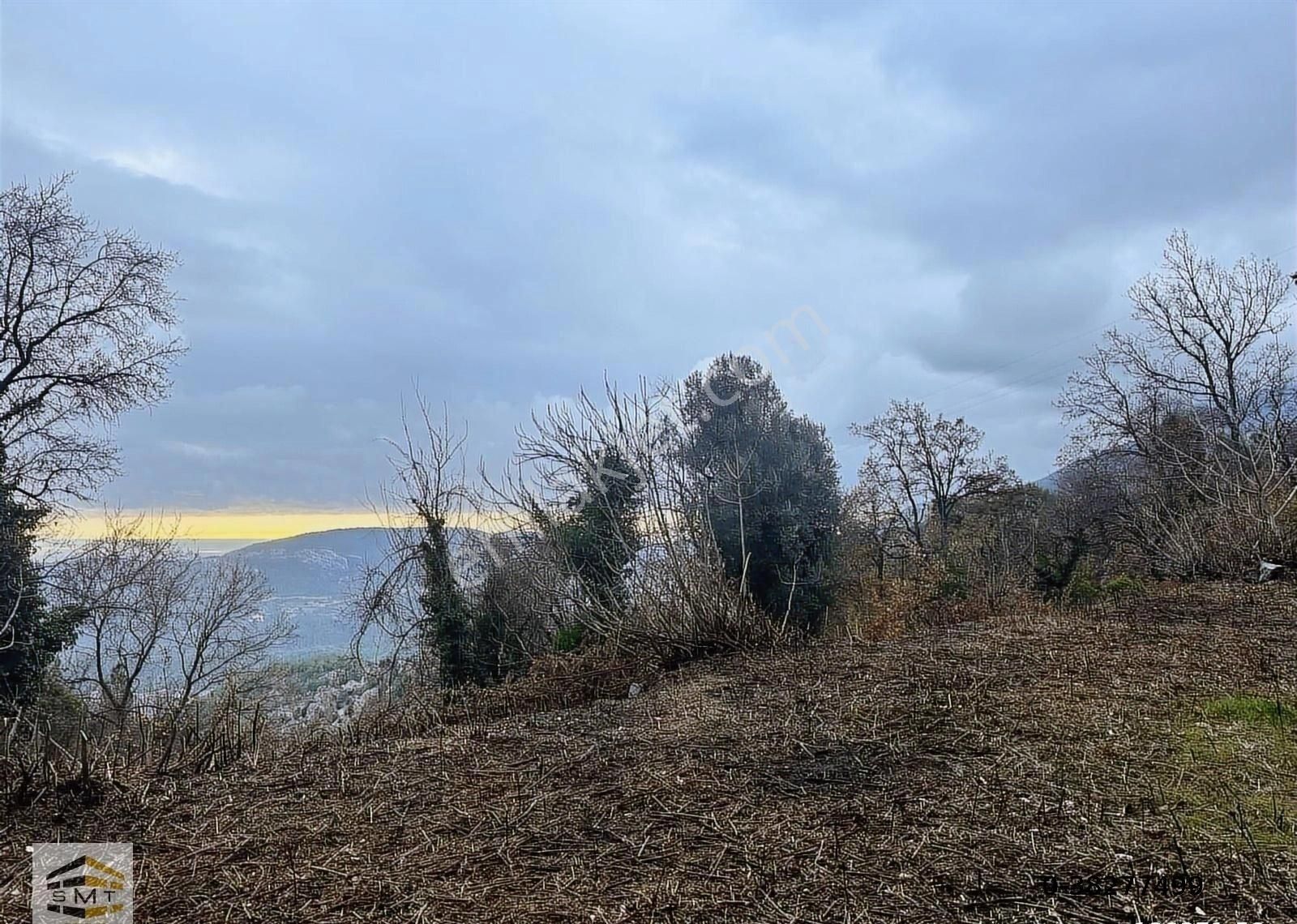 Alanya Yayla Konak Mahallesi Satılık Tarla - Görsel 5