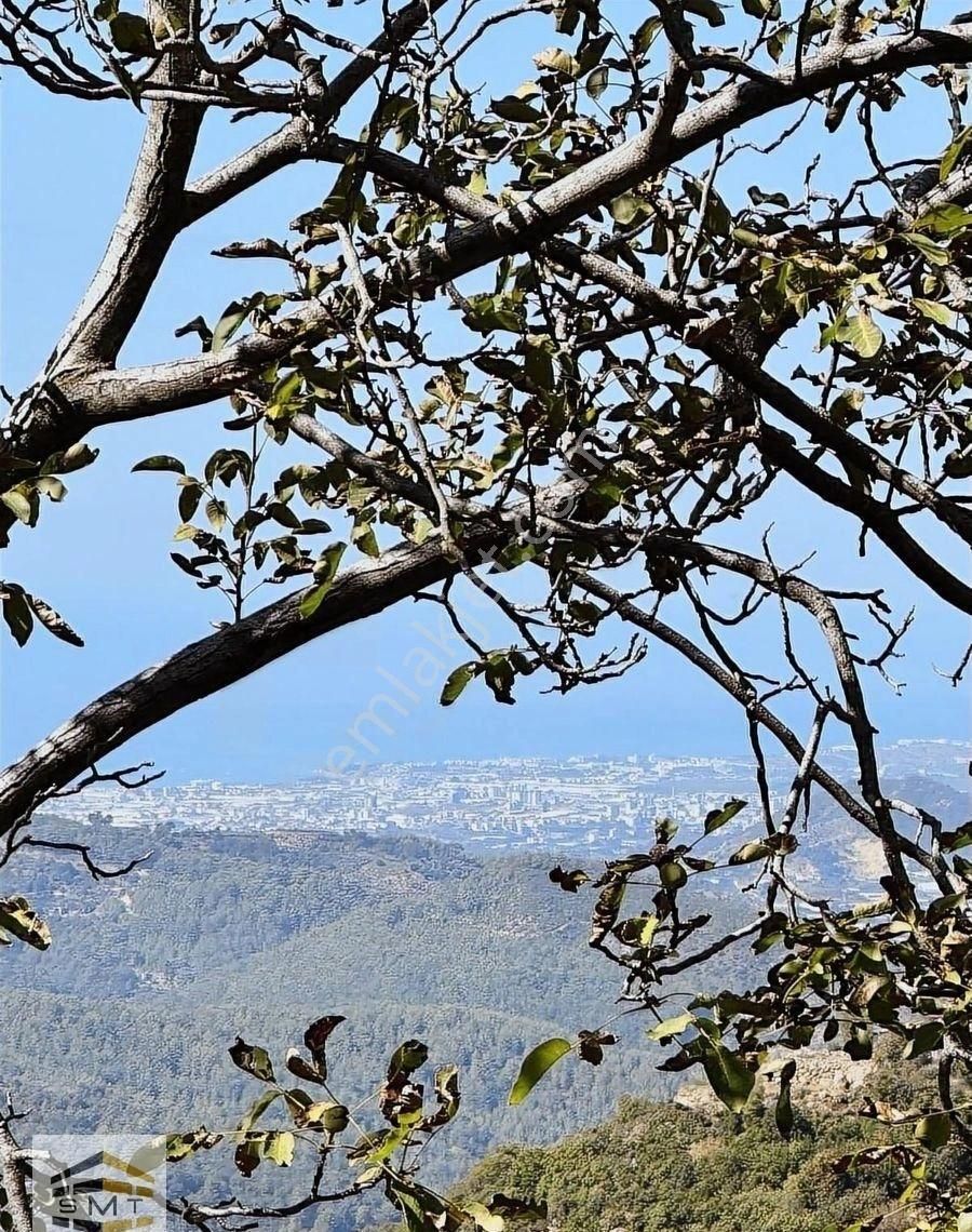 Alanya Mahmutseydi Mahallesi Satılık Deniz Manzaralı Tarla