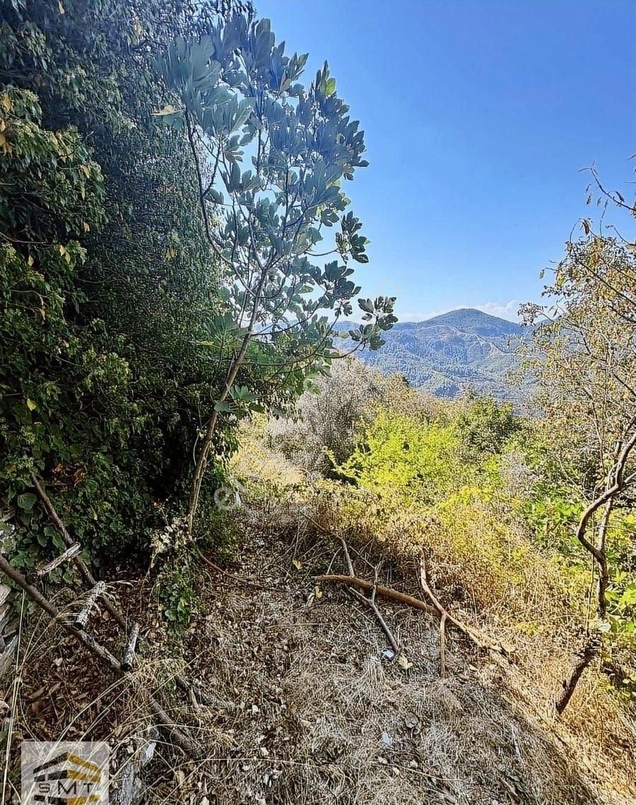 Alanya Mahmutseydi Mahallesi Satılık Deniz Manzaralı Tarla - Görsel 7