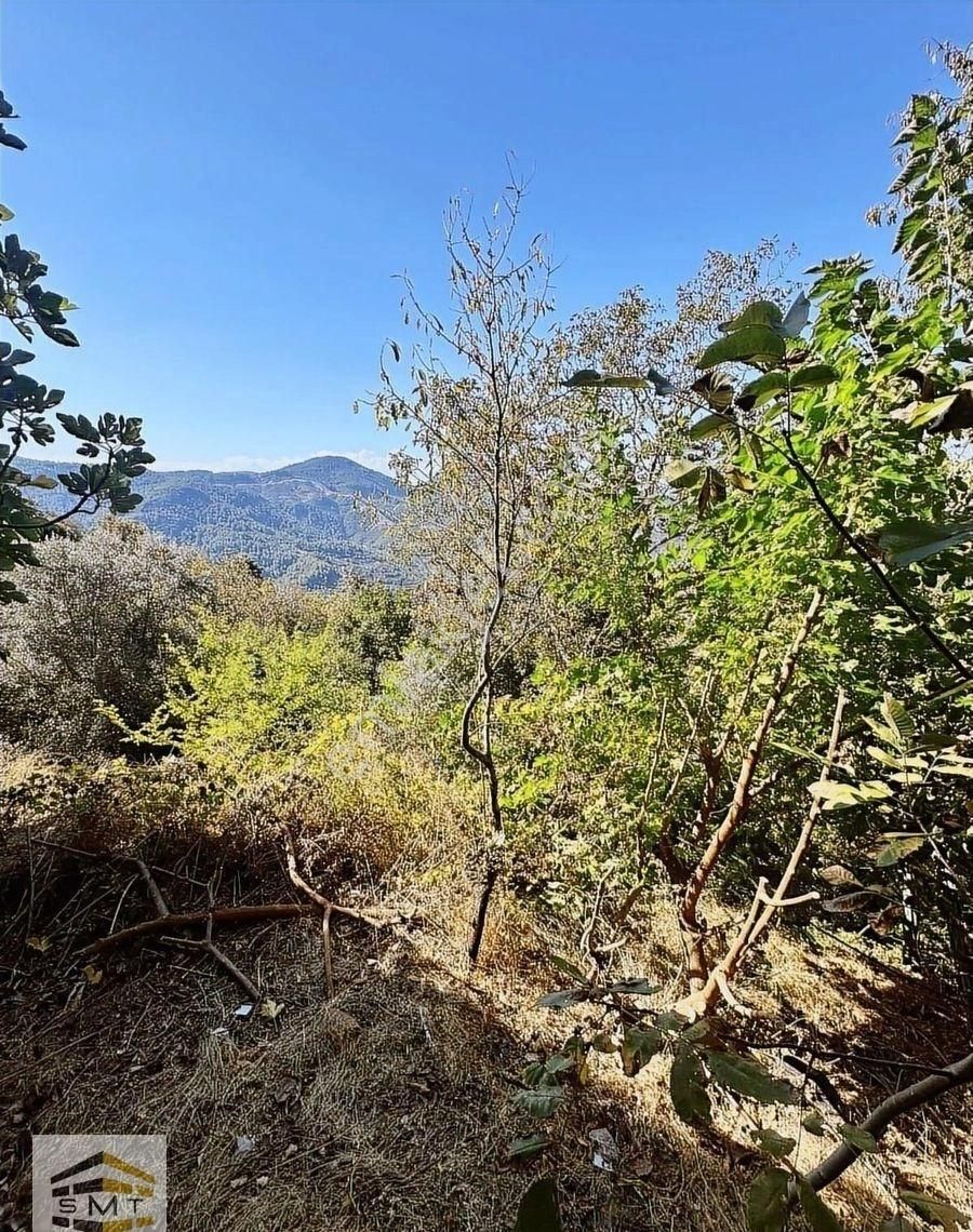 Alanya Mahmutseydi Mahallesi Satılık Deniz Manzaralı Tarla - Görsel 11