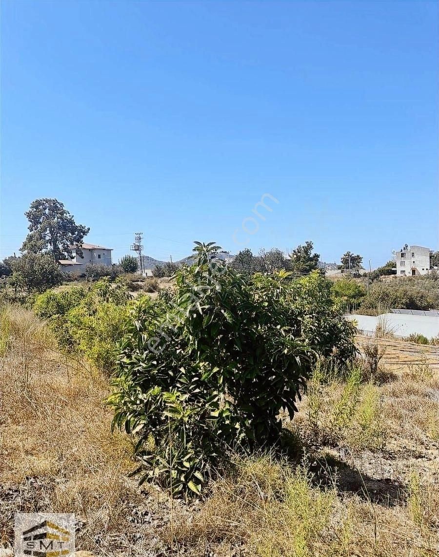 Gazipaşa Beyobası Mahallesi Satılık Kurulu Düzen 7755 M2 Tarla - Görsel 6