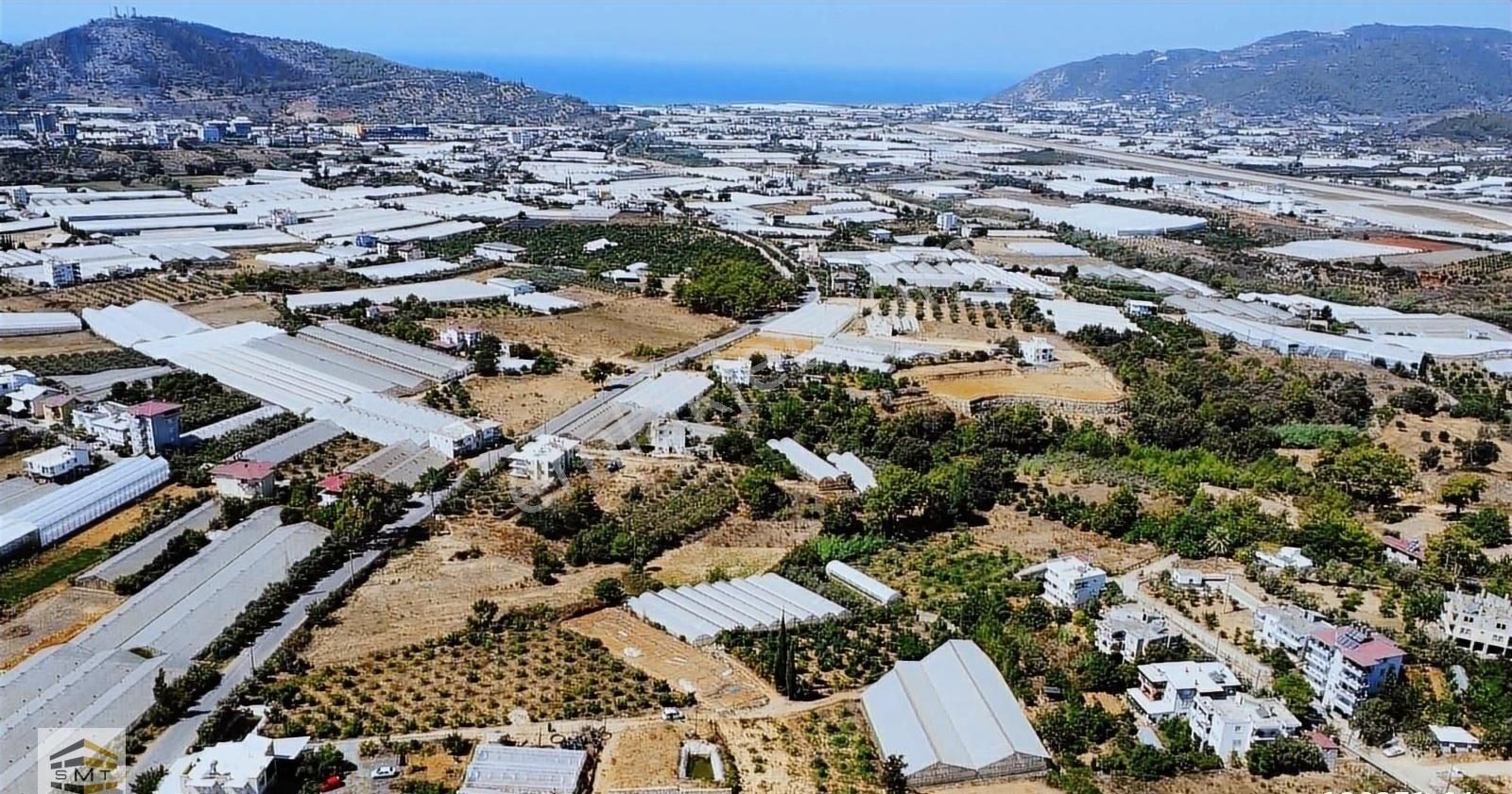 Gazipaşa Beyobası Mahallesi Satılık Kurulu Düzen 7755 M2 Tarla - Görsel 9