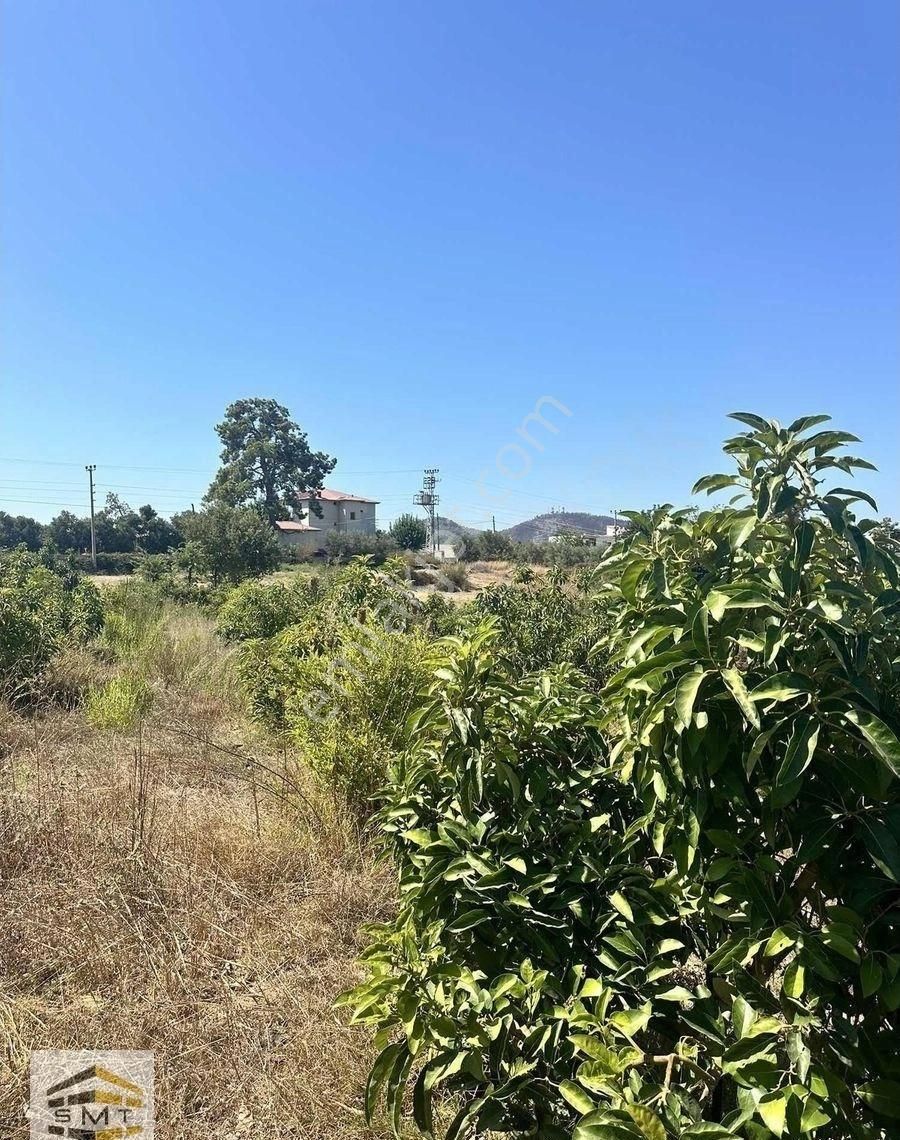 Gazipaşa Beyobası Mahallesi Satılık Kurulu Düzen 7755 M2 Tarla - Görsel 8