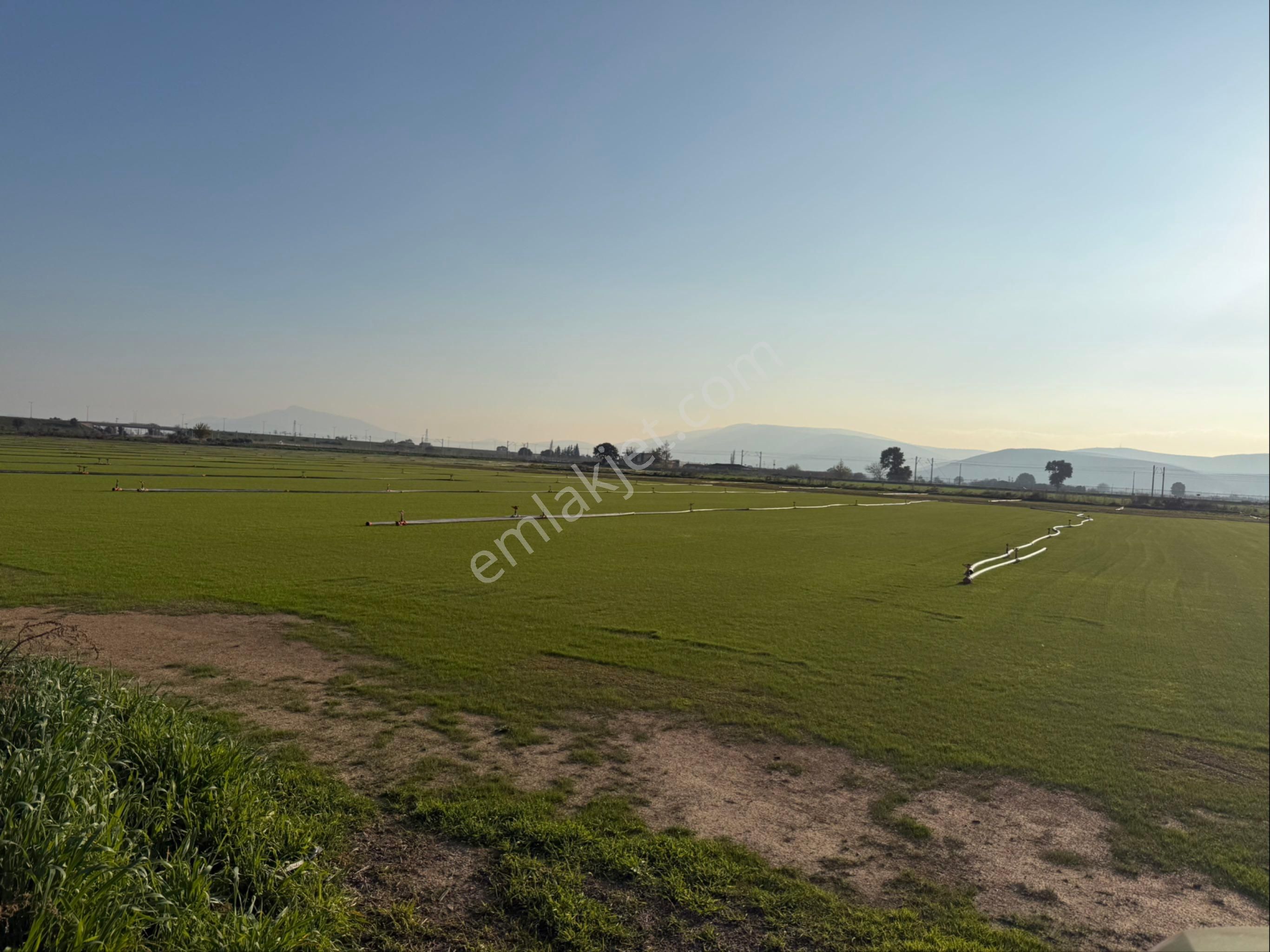 Turpa Konumev'den Torbalı Çapak'da Satılık Tek Tapu Tarla - Görsel 9