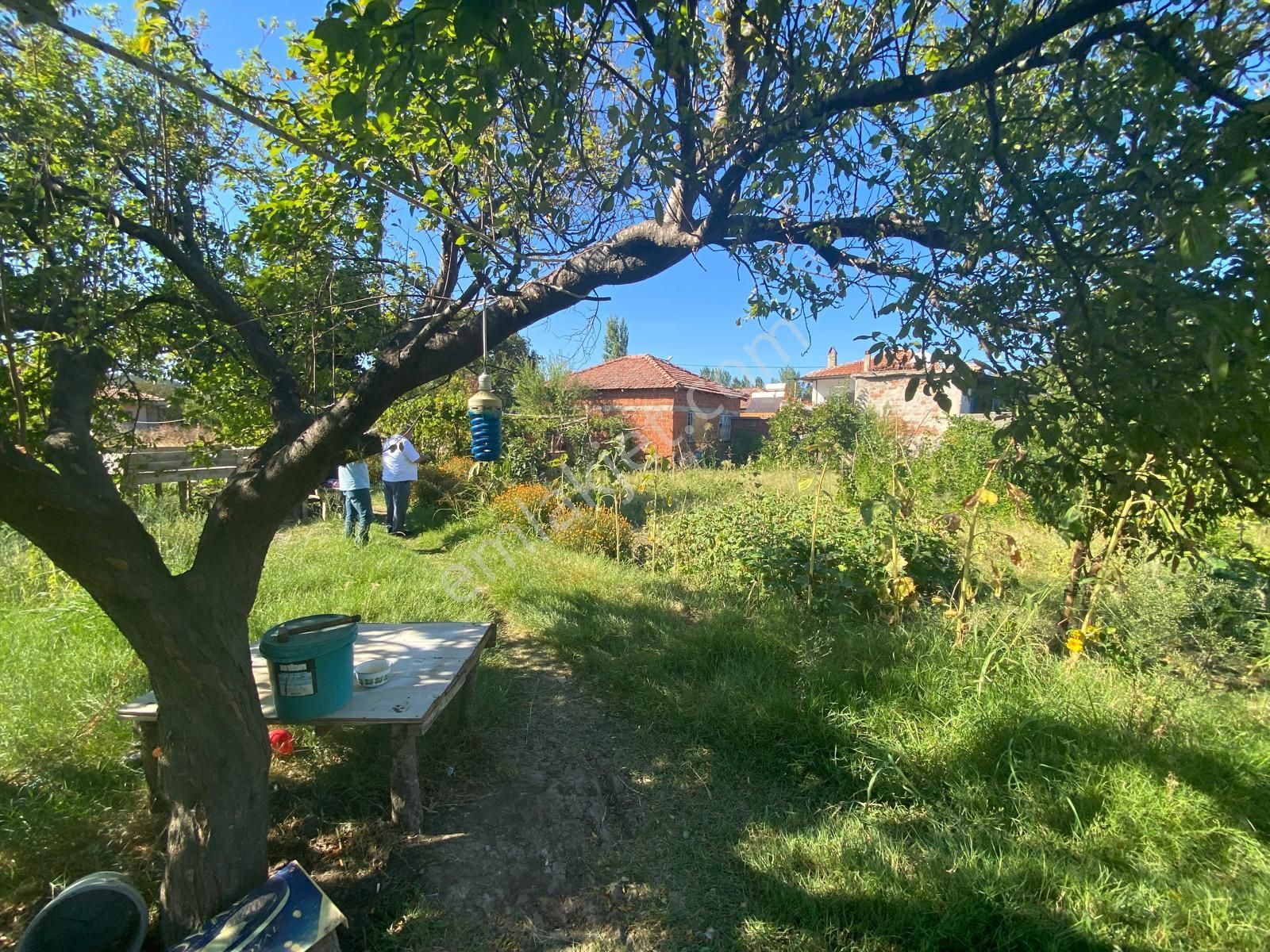 Balıkesir Havran İnönü De 1204 M2 Bahçe İçinde 3 Adet Köy Evi Satılık - Görsel 24