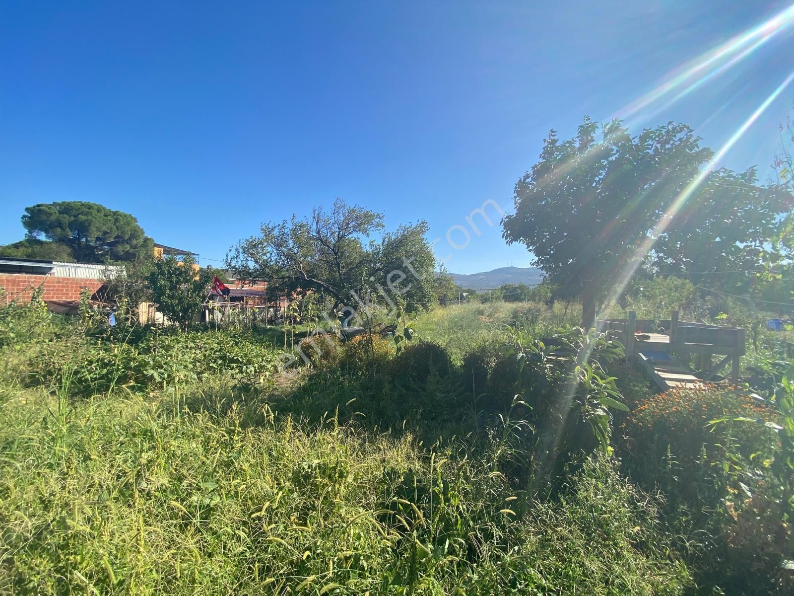 Balıkesir Havran İnönü De 1204 M2 Bahçe İçinde 3 Adet Köy Evi Satılık - Görsel 10