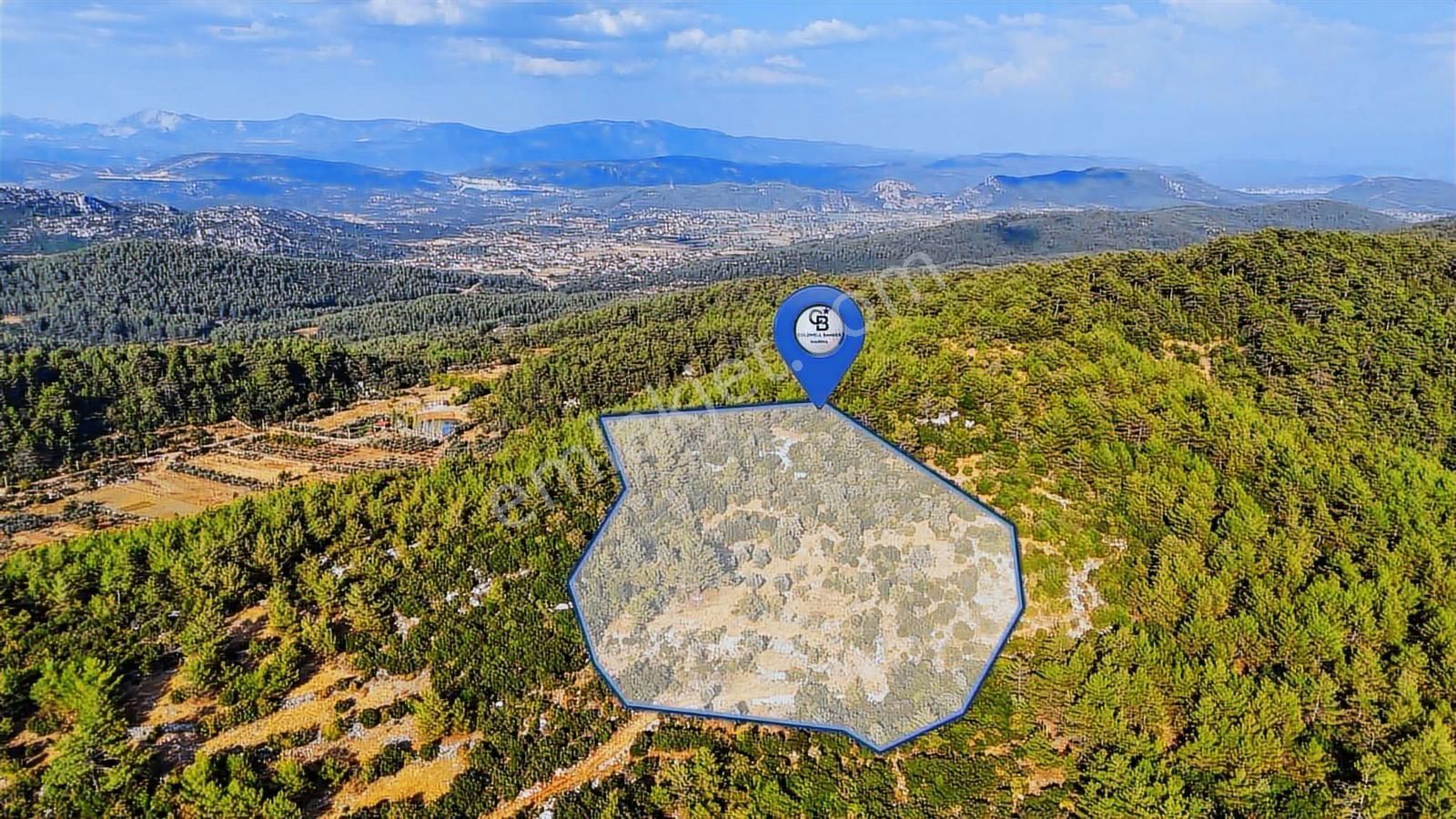 Cb Marina'dan Menteşe Kuyucak'da Satılık 5.932 M2 Tarla - Görsel 6