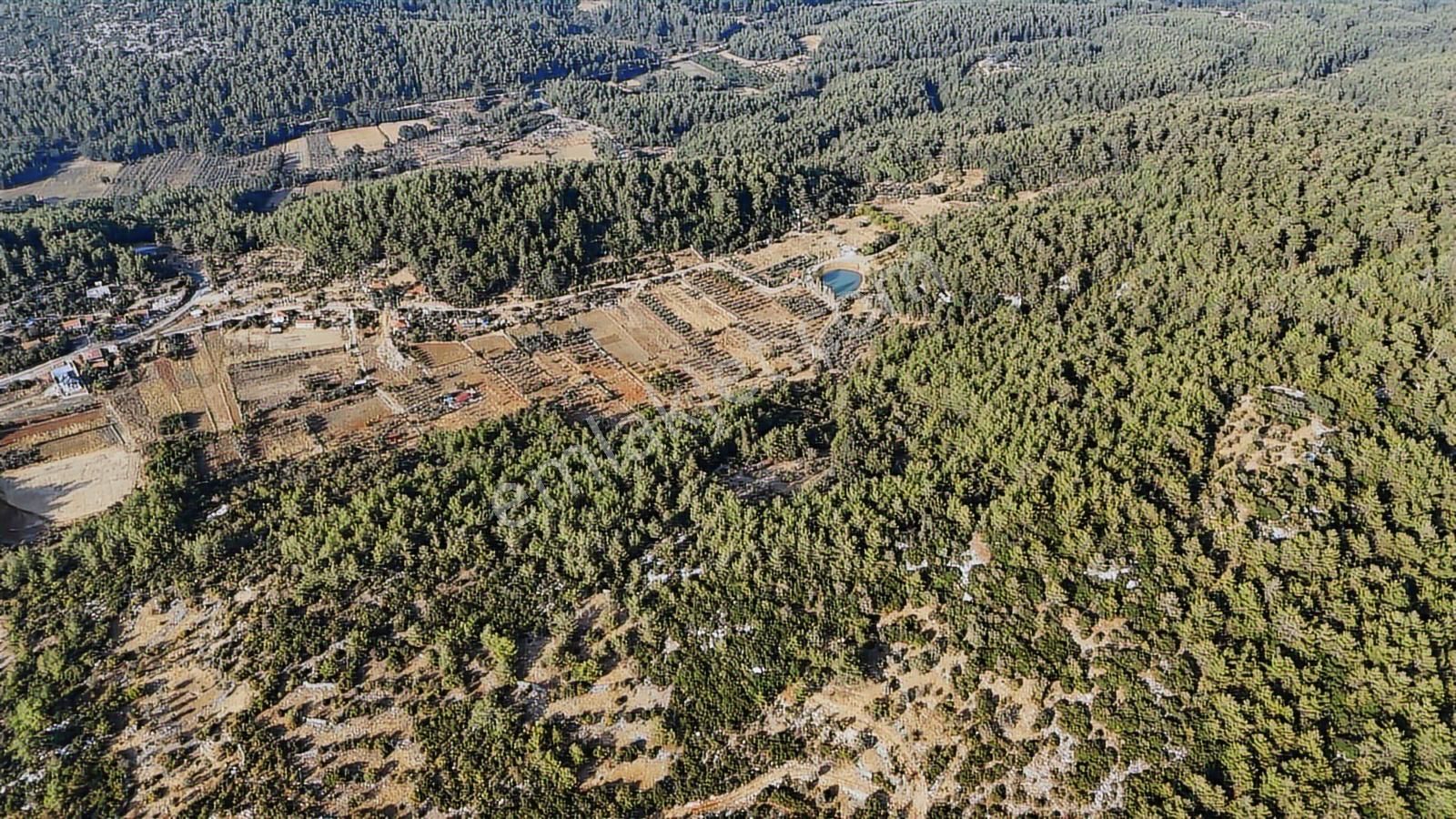 Cb Marina'dan Menteşe Kuyucak'da Satılık 5.932 M2 Tarla - Görsel 16