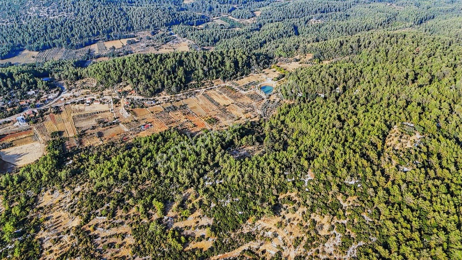 Cb Marina'dan Menteşe Kuyucak'da Satılık 5.932 M2 Tarla - Görsel 22