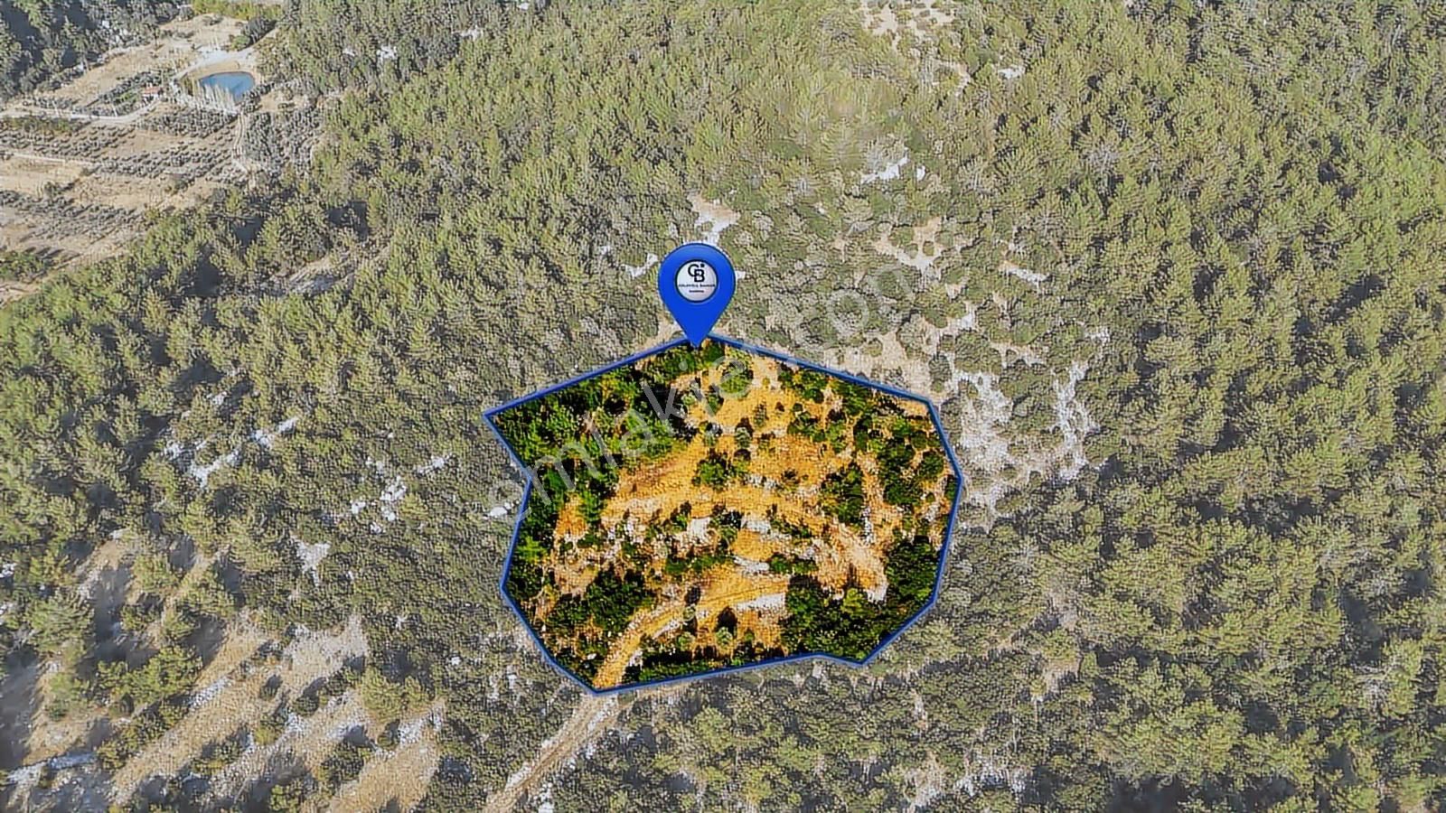 Cb Marina'dan Menteşe Kuyucak'da Satılık 5.932 M2 Tarla - Görsel 5