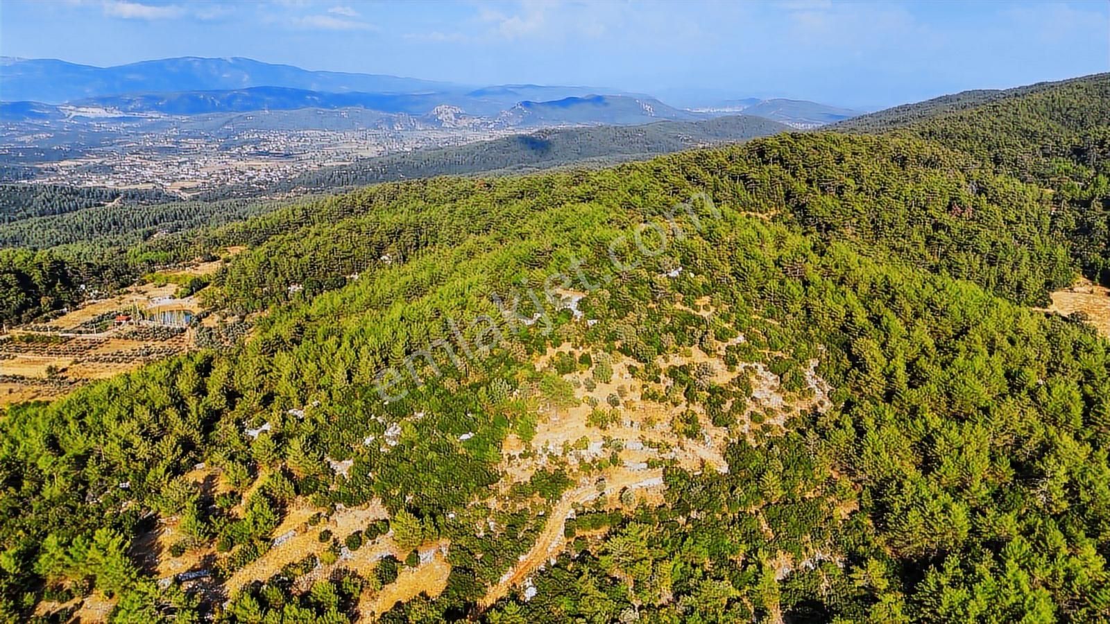 Cb Marina'dan Menteşe Kuyucak'da Satılık 5.932 M2 Tarla - Görsel 20