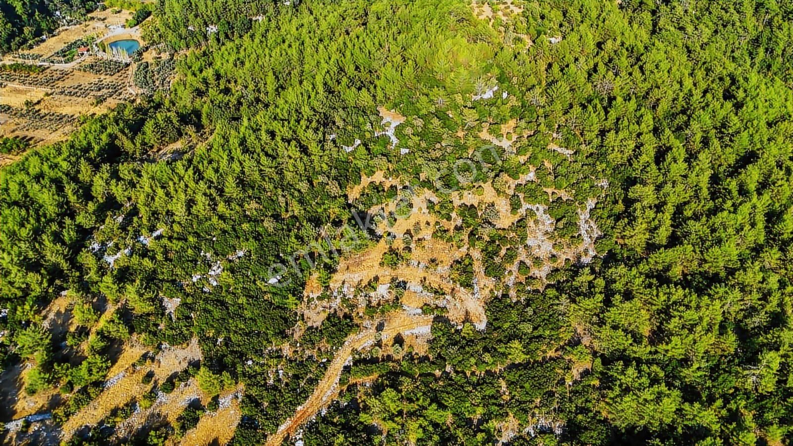 Cb Marina'dan Menteşe Kuyucak'da Satılık 5.932 M2 Tarla - Görsel 17