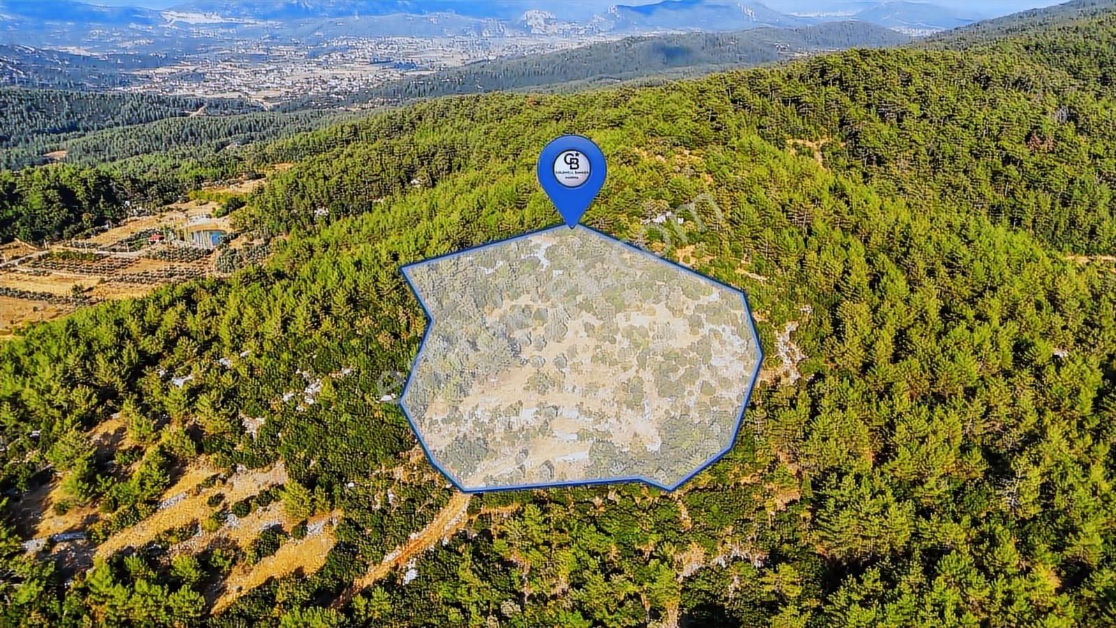 Cb Marina'dan Menteşe Kuyucak'da Satılık 5.932 M2 Tarla - Görsel 14