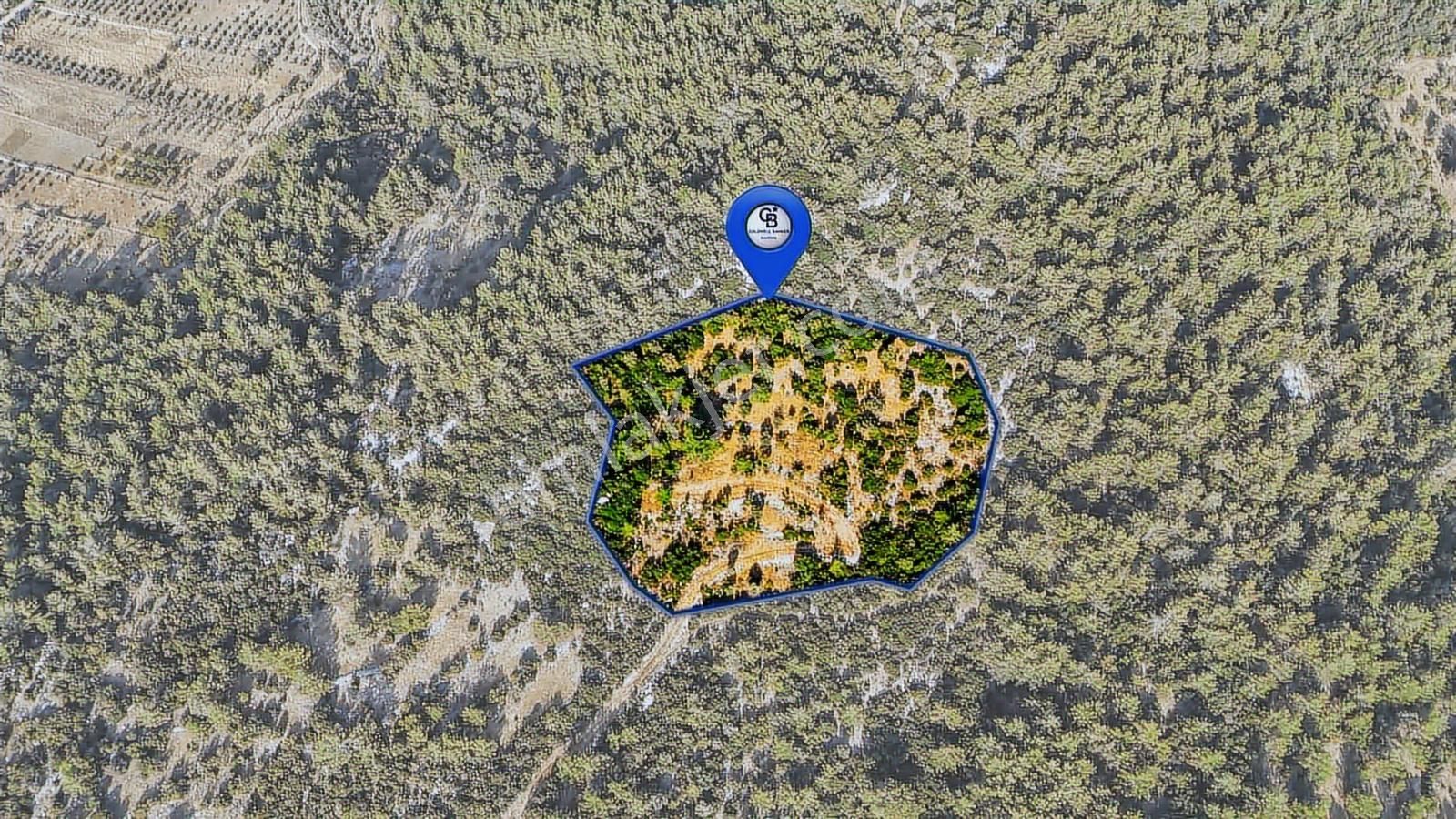 Cb Marina'dan Menteşe Kuyucak'da Satılık 5.932 M2 Tarla - Görsel 8