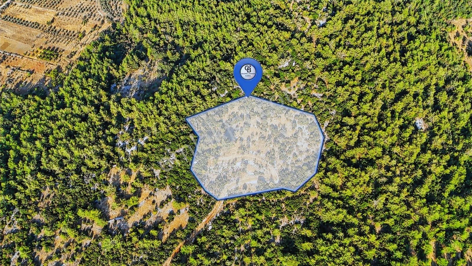 Cb Marina'dan Menteşe Kuyucak'da Satılık 5.932 M2 Tarla - Görsel 13