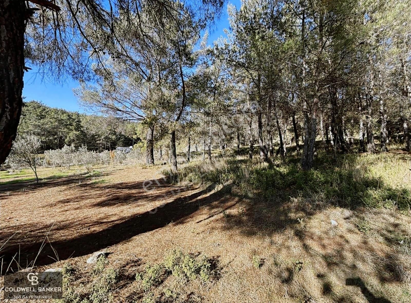 Menderes Yeniköy'de Satılık Tek Tapu Tarla - Görsel 16