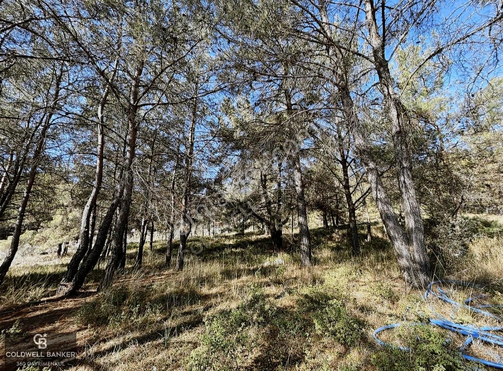 Menderes Yeniköy'de Satılık Tek Tapu Tarla